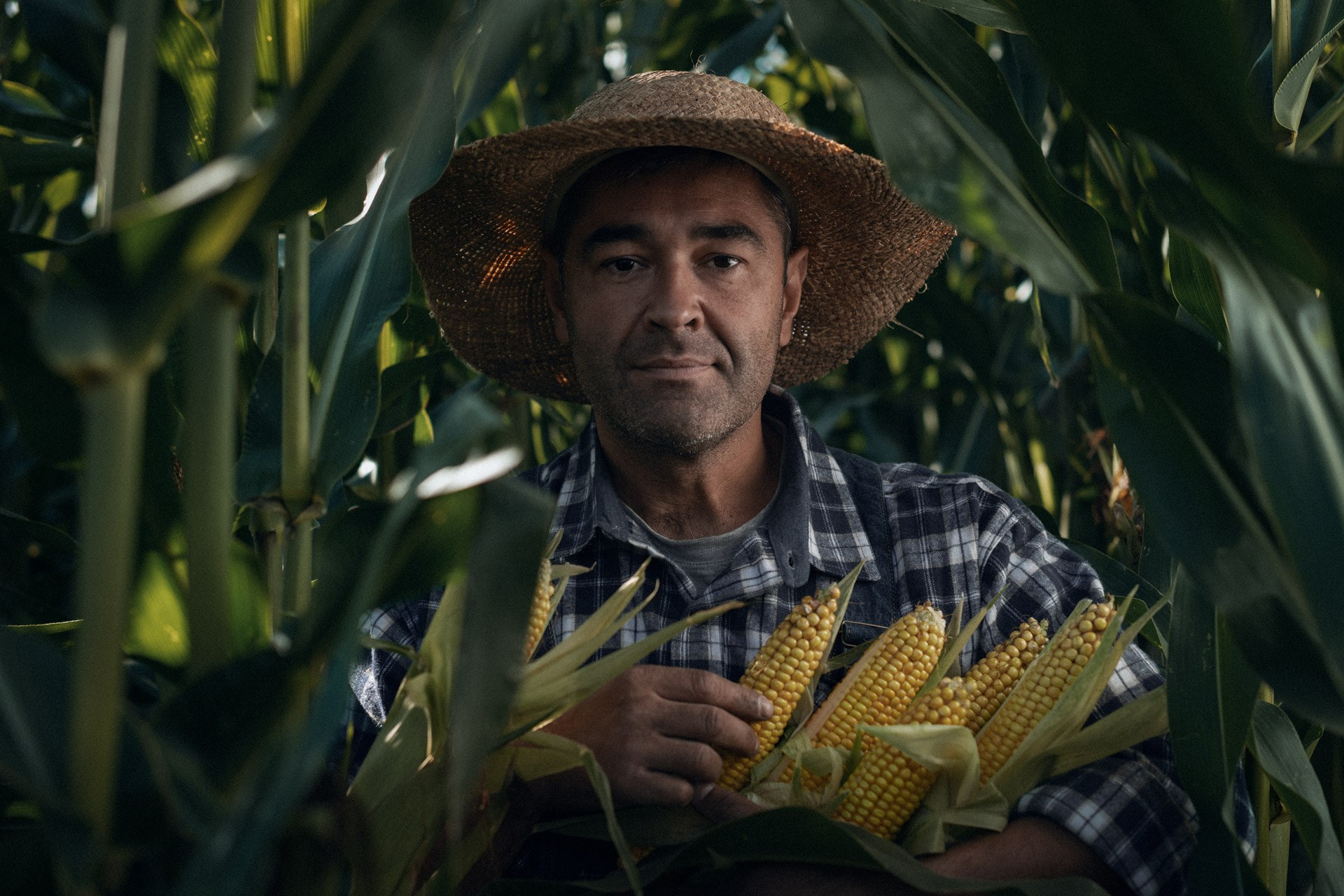 Global farming supported by Eurochem. Photographer Sergei Tatarskikh