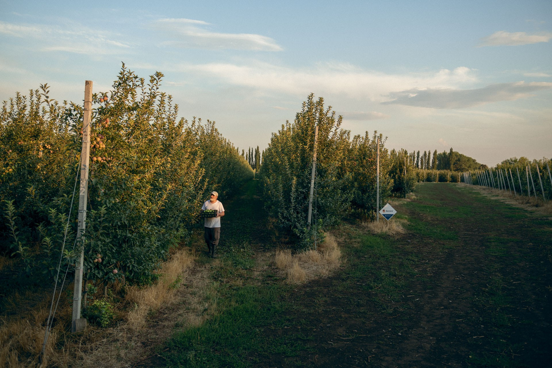 Global farming supported by Eurochem. Photographer Sergei Tatarskikh