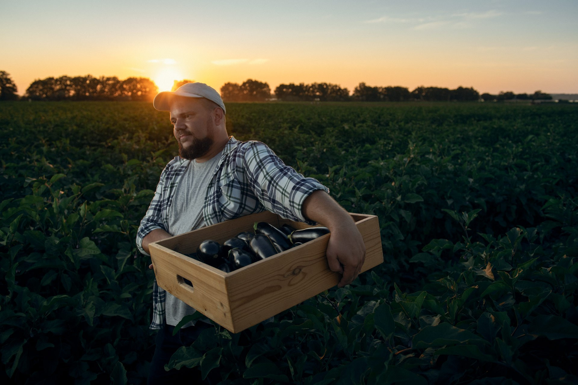 Global farming supported by Eurochem. Photographer Sergei Tatarskikh