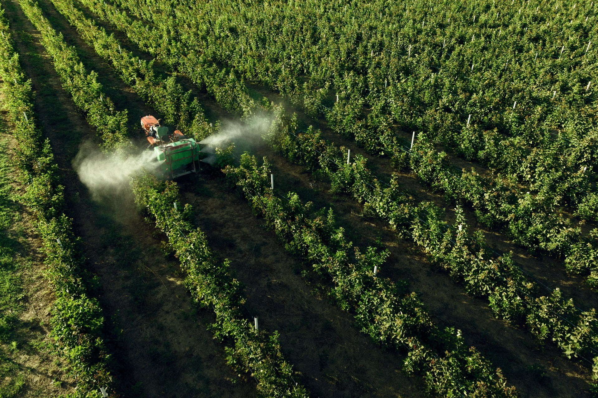 Global farming supported by Eurochem. Photographer Sergei Tatarskikh