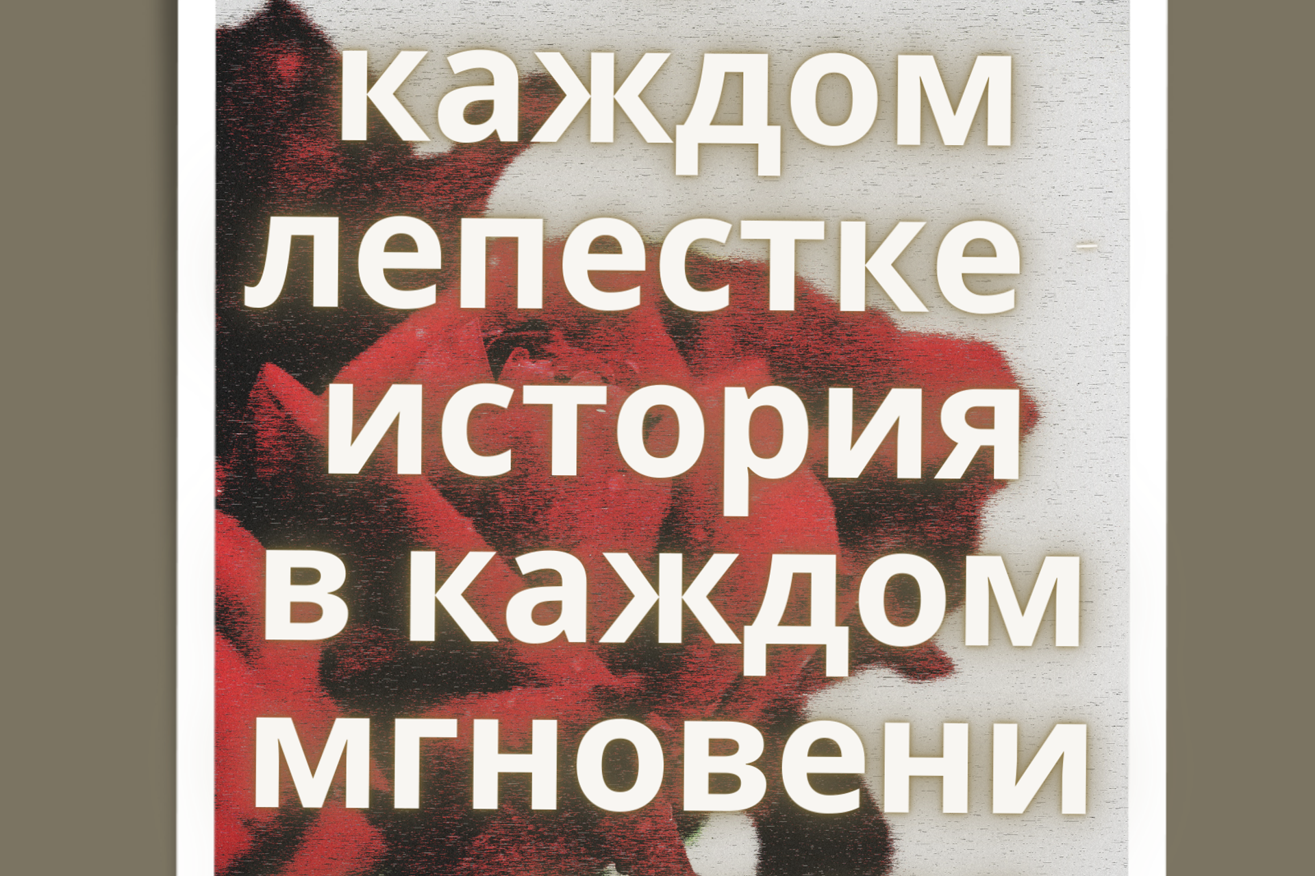 Olya Online – Фотоискусство и открытки с розами | Цифровые подарки от Ольги Рэд | Купить онлайн. Маркетолог | Лайф-коуч | Фотограф, Мск