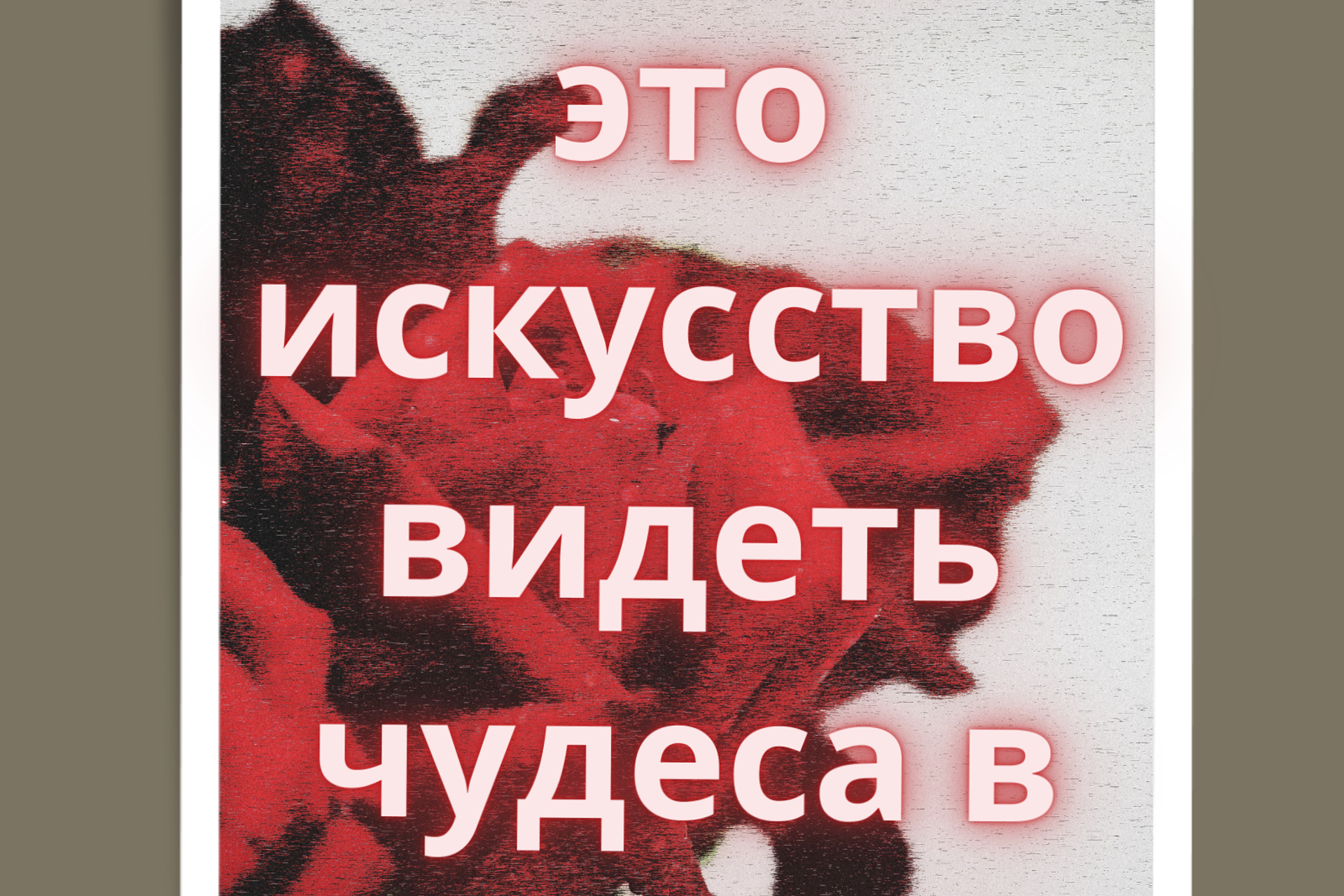 Olya Online – Фотоискусство и открытки с розами | Цифровые подарки от Ольги Рэд | Купить онлайн. Маркетолог | Лайф-коуч | Фотограф, Мск