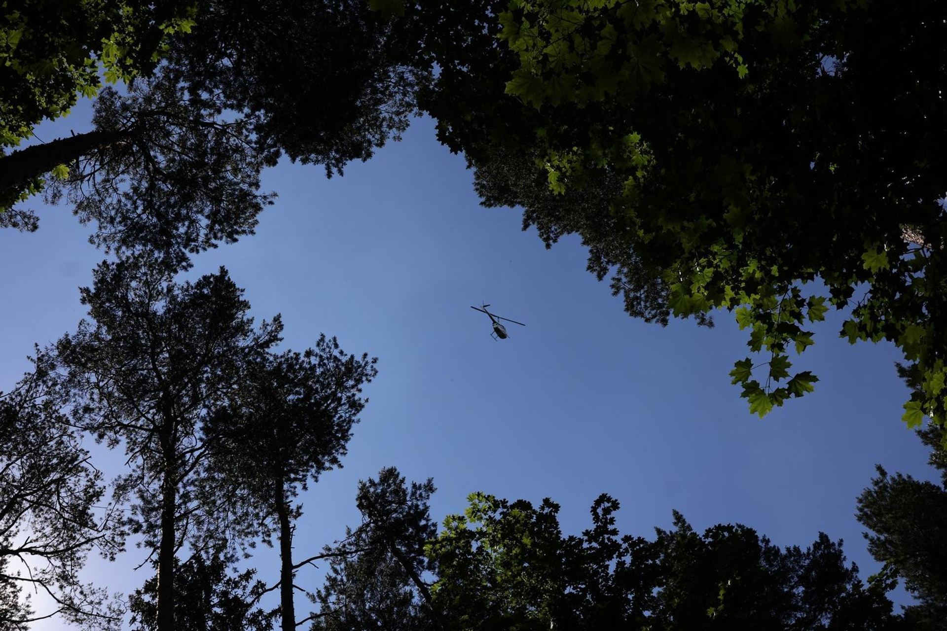 Истории. Свадебный фотограф Кемран Ширалиев