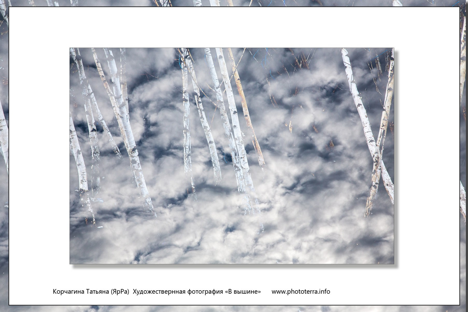 Кто здесь капитан. Татьяна Корчагина. Фотограф, художник. Обучение фотографии