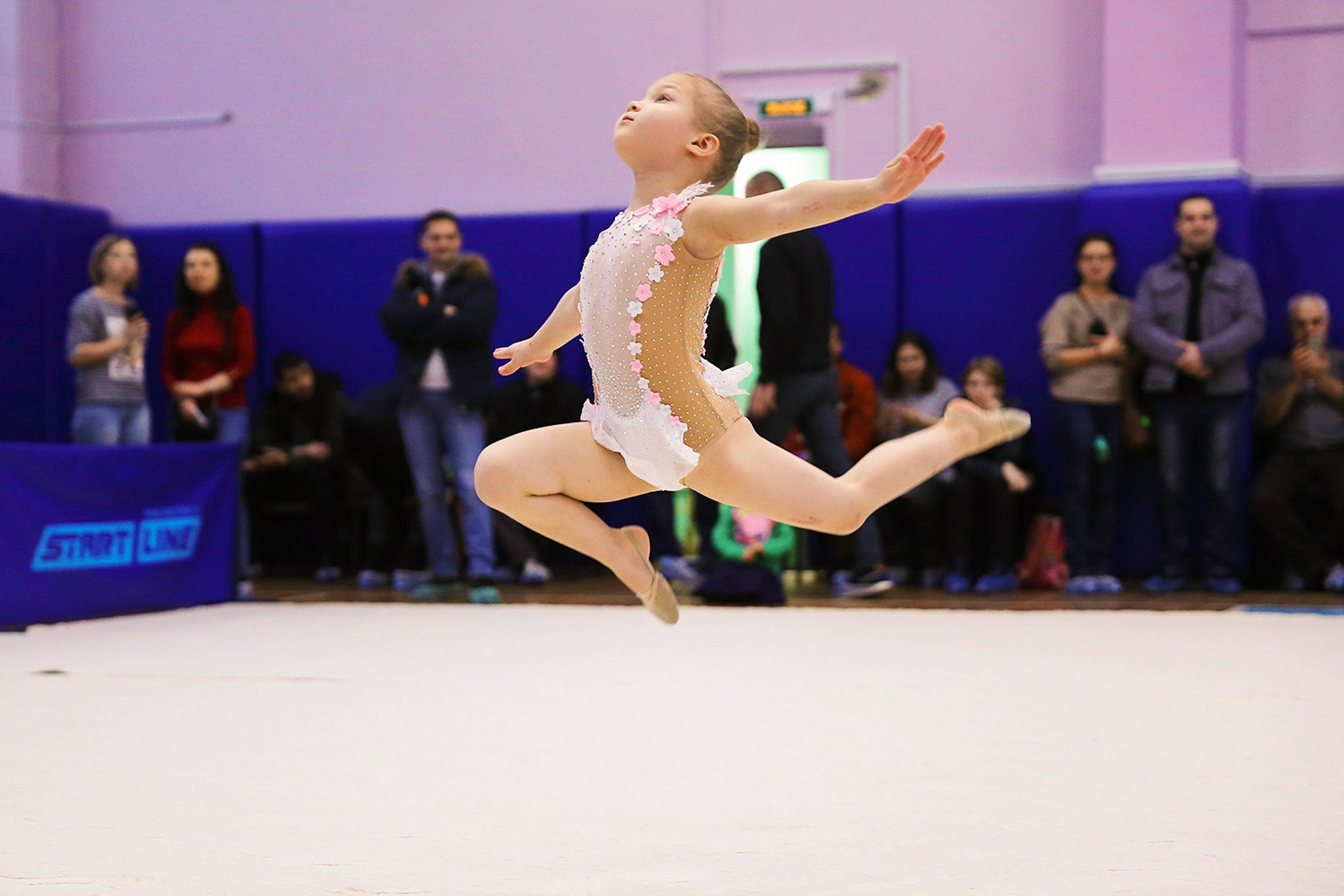 Художественная гимнастика