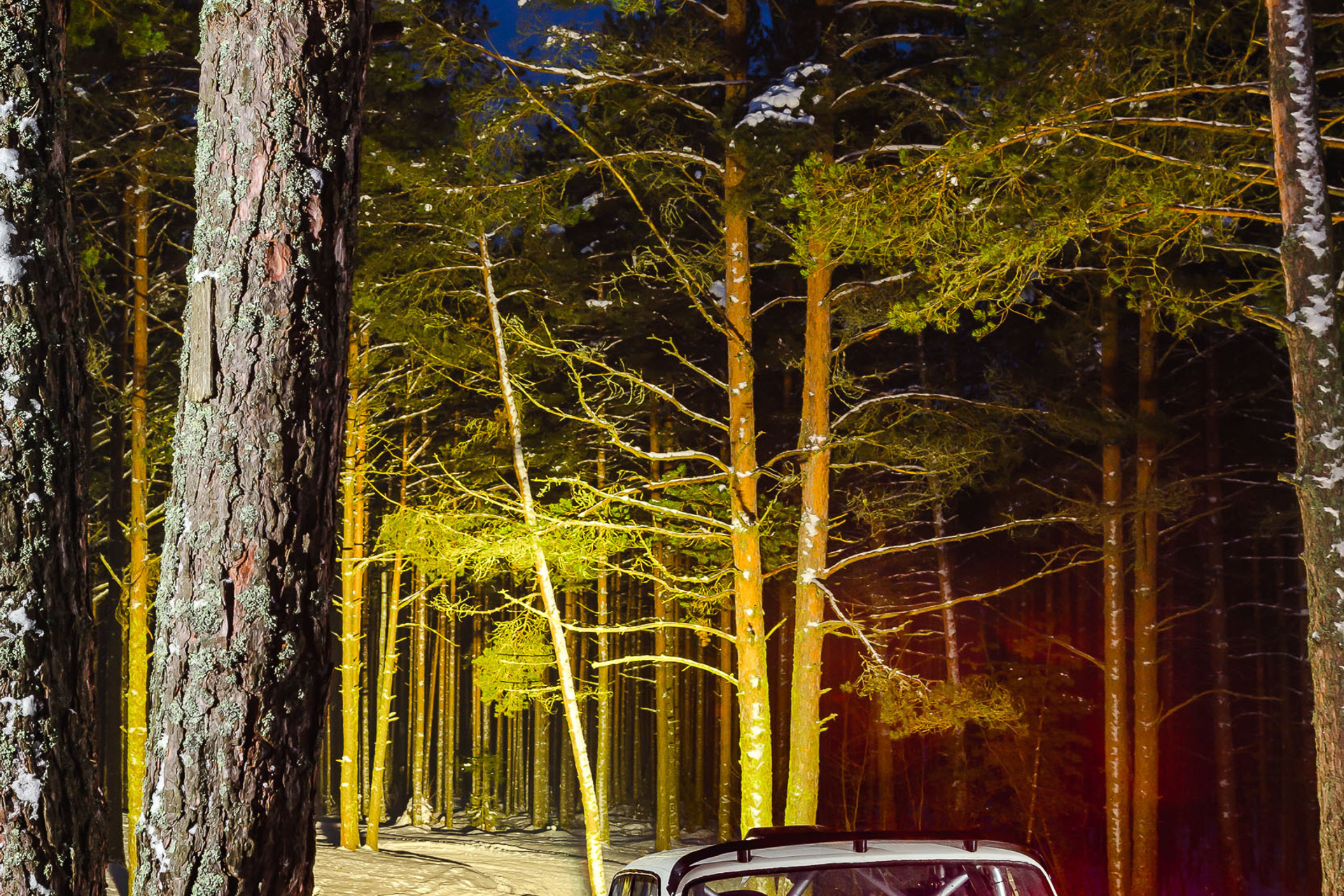 VFTS & 2140. Фотограф Дмитрий Питерский