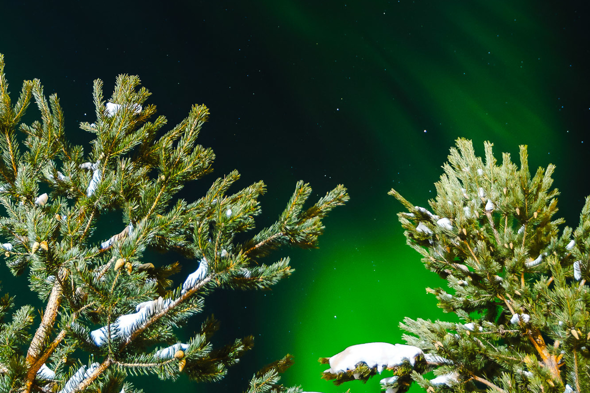 Швеция. Фотограф Дмитрий Питерский