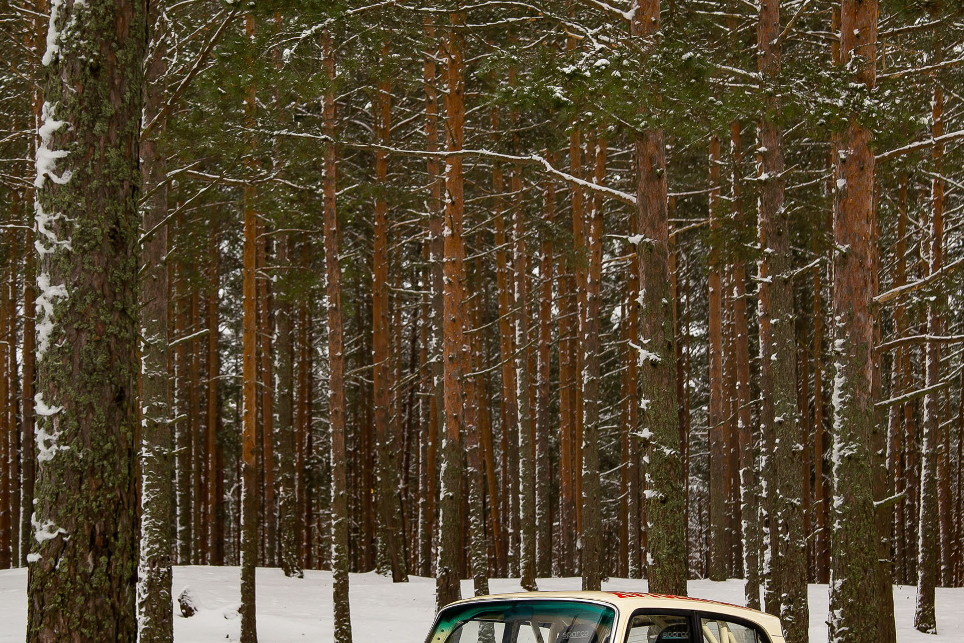 VFTS & 2140. Фотограф Дмитрий Питерский