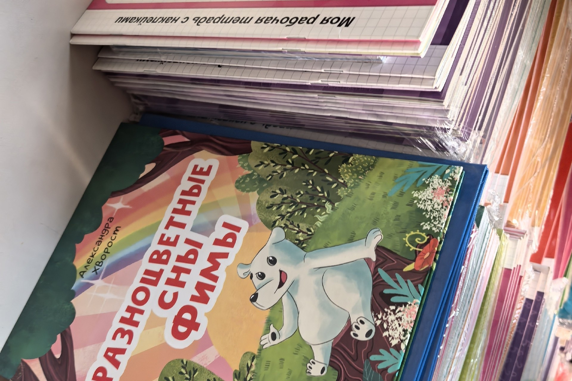 Отчёт о посещении ежегодного фестиваля фонда «Антон тут рядом». АНО «Центра социальных проектов «Путь в большой мир»