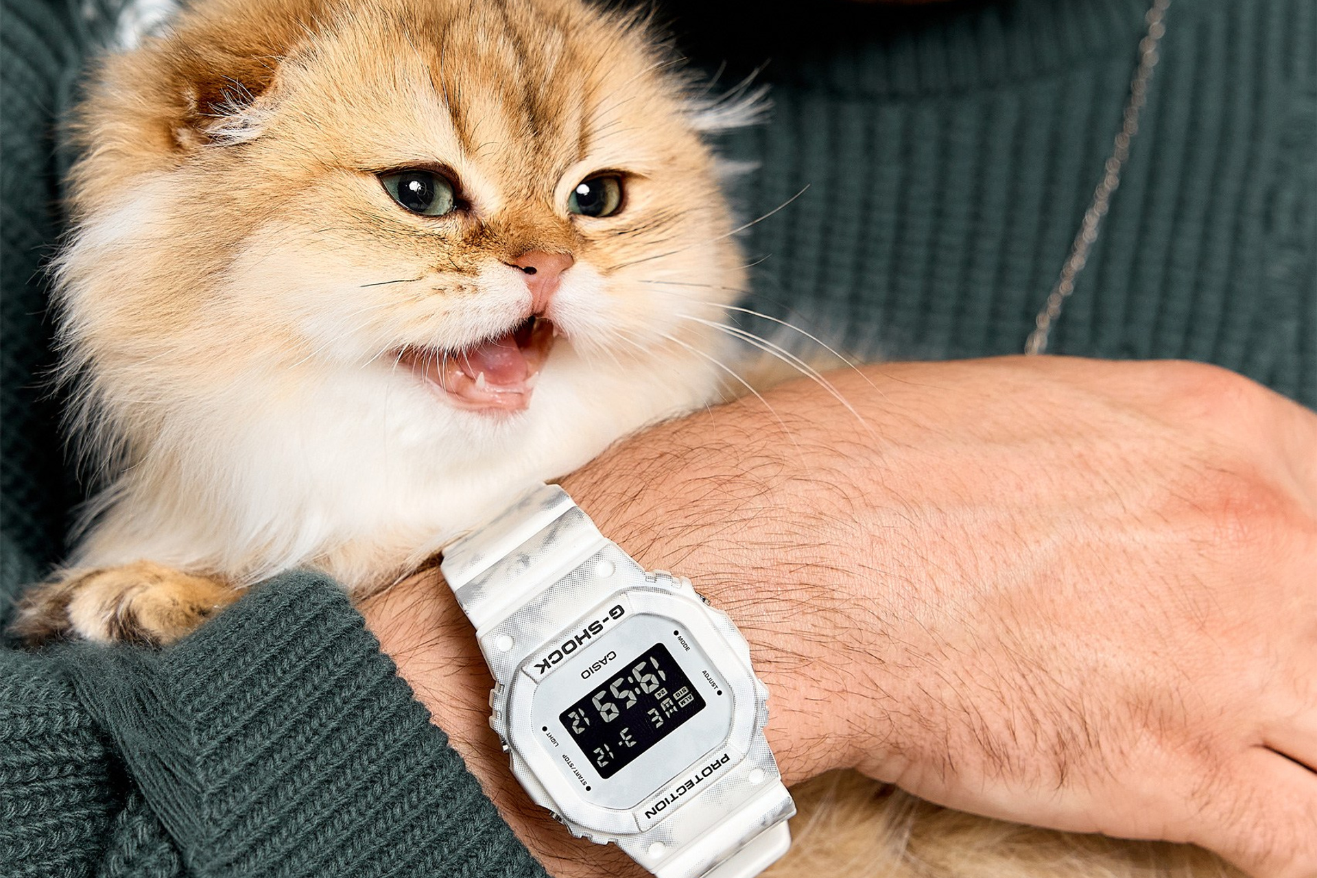 Котики созрели