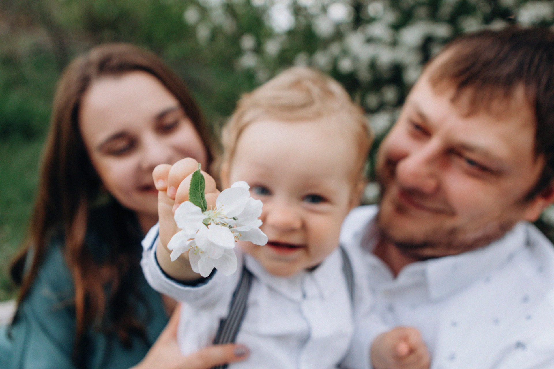 Цветут цветы…