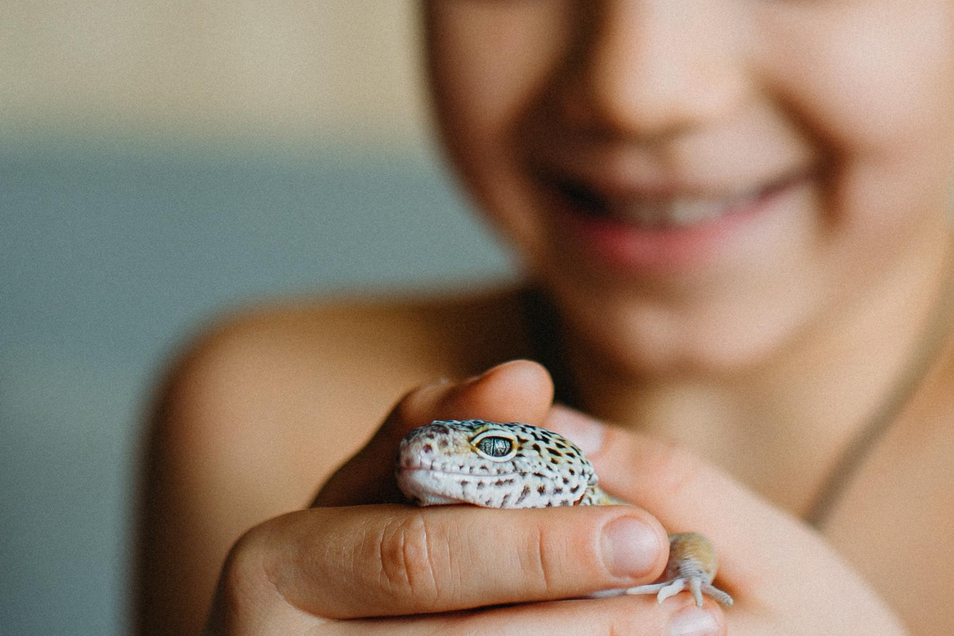 Дом с драконом