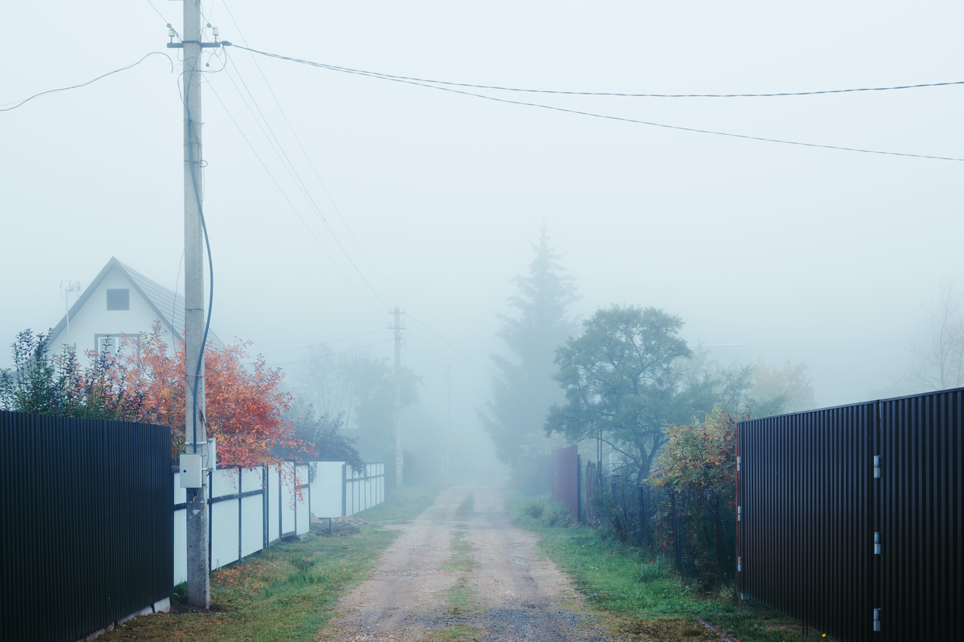 Сквозь время