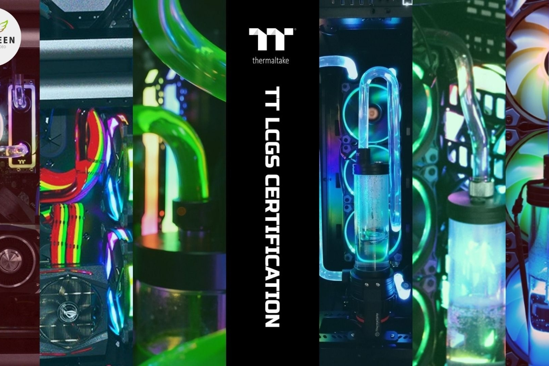 Видео Мероприятия. ByGreenOrg и красивые фотографии