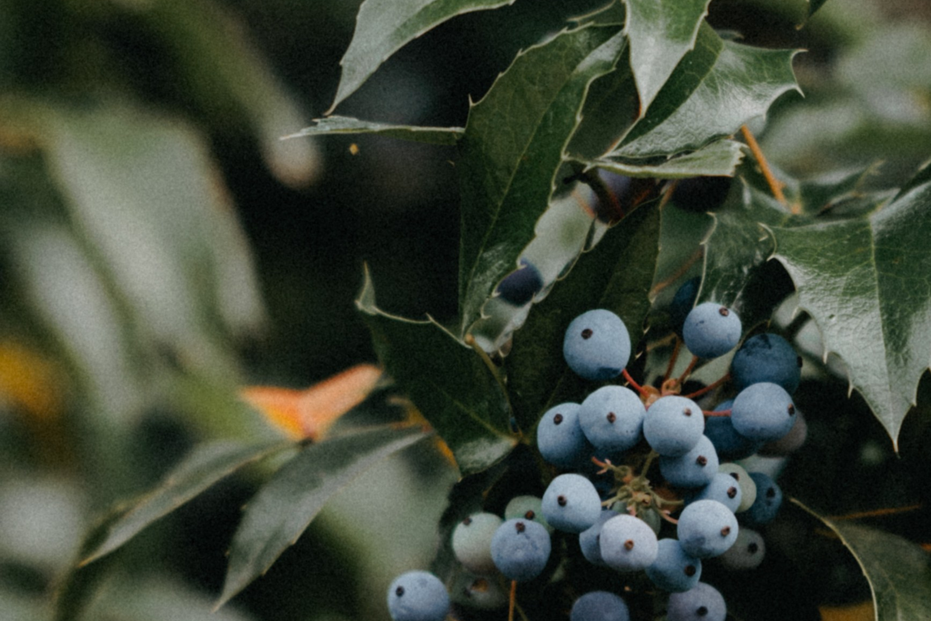 Блог и портфолио. Семейный фотограф в Белгороде