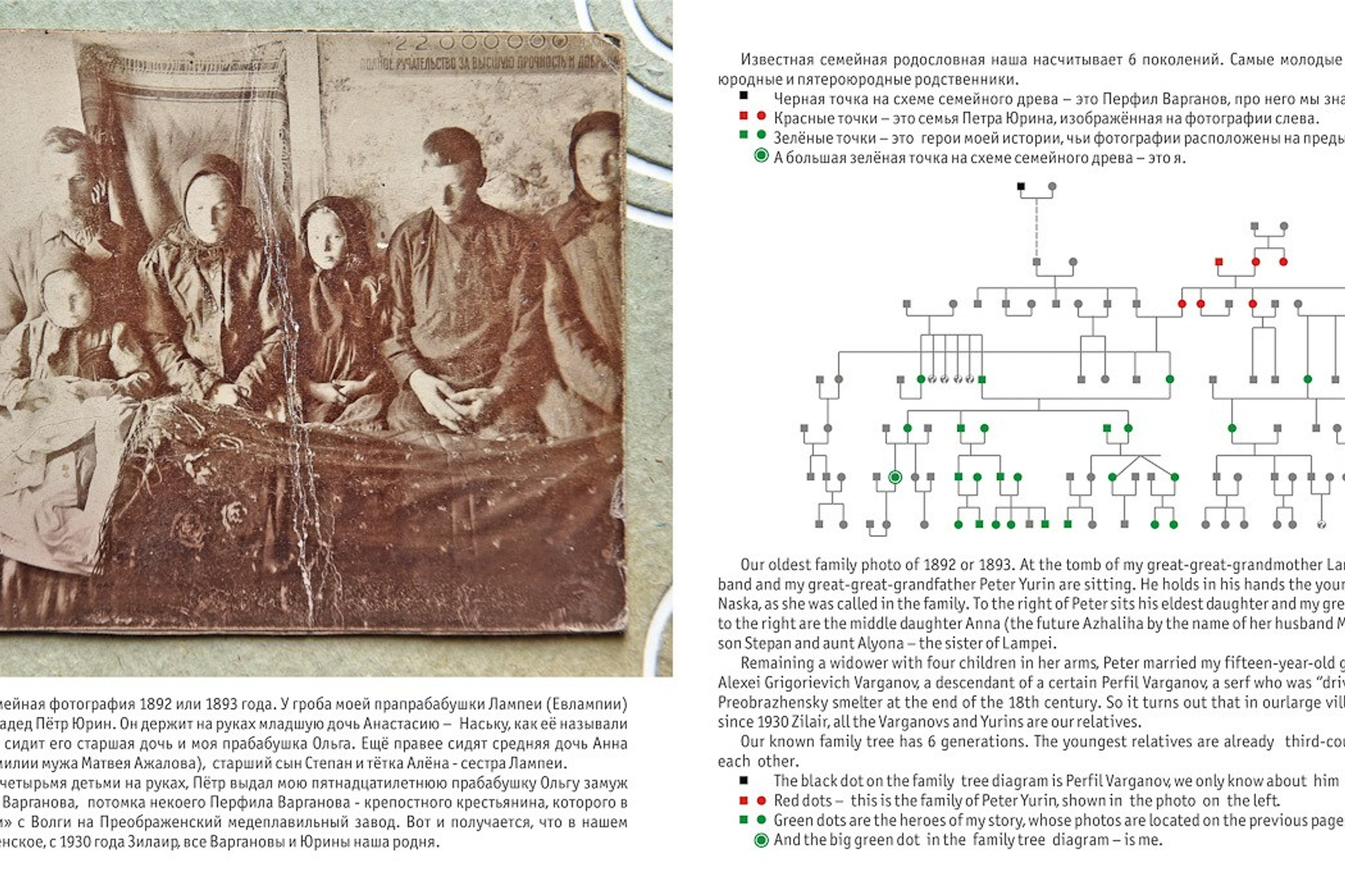 Куда уходят корни