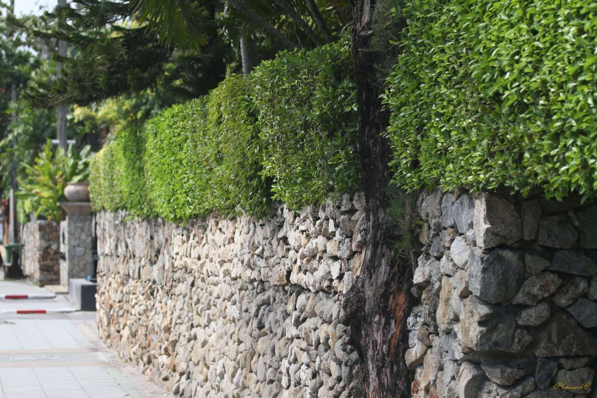 Тайланд 2011 г. Улица, люди, жизнь…