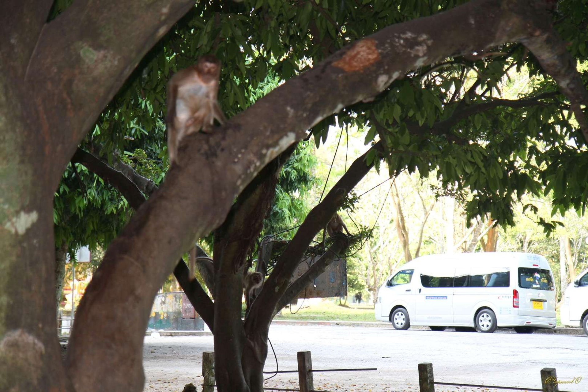 Тайланд 2011 г. Улица, люди, жизнь…