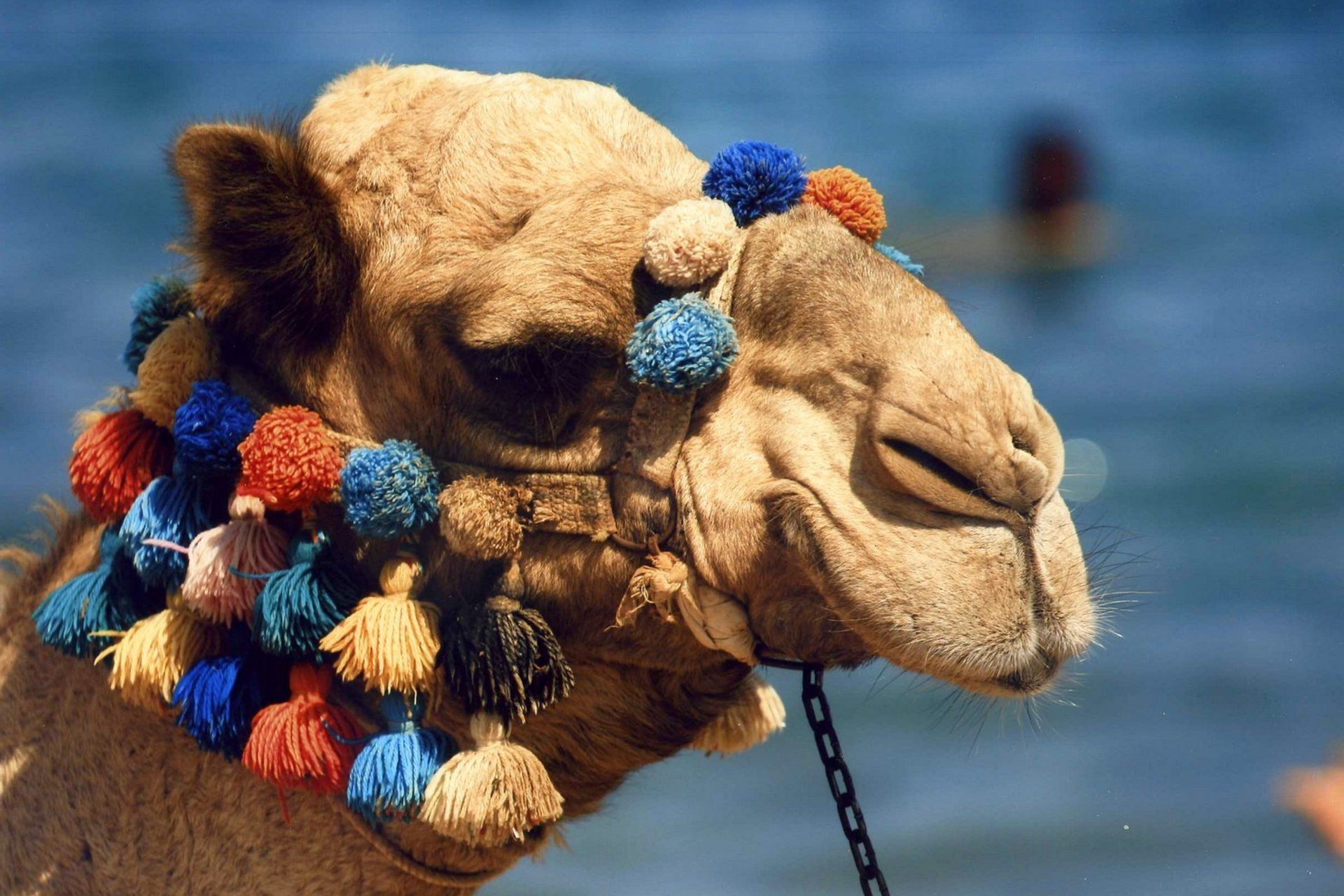 Фотоальбомы. Улица, люди, жизнь…