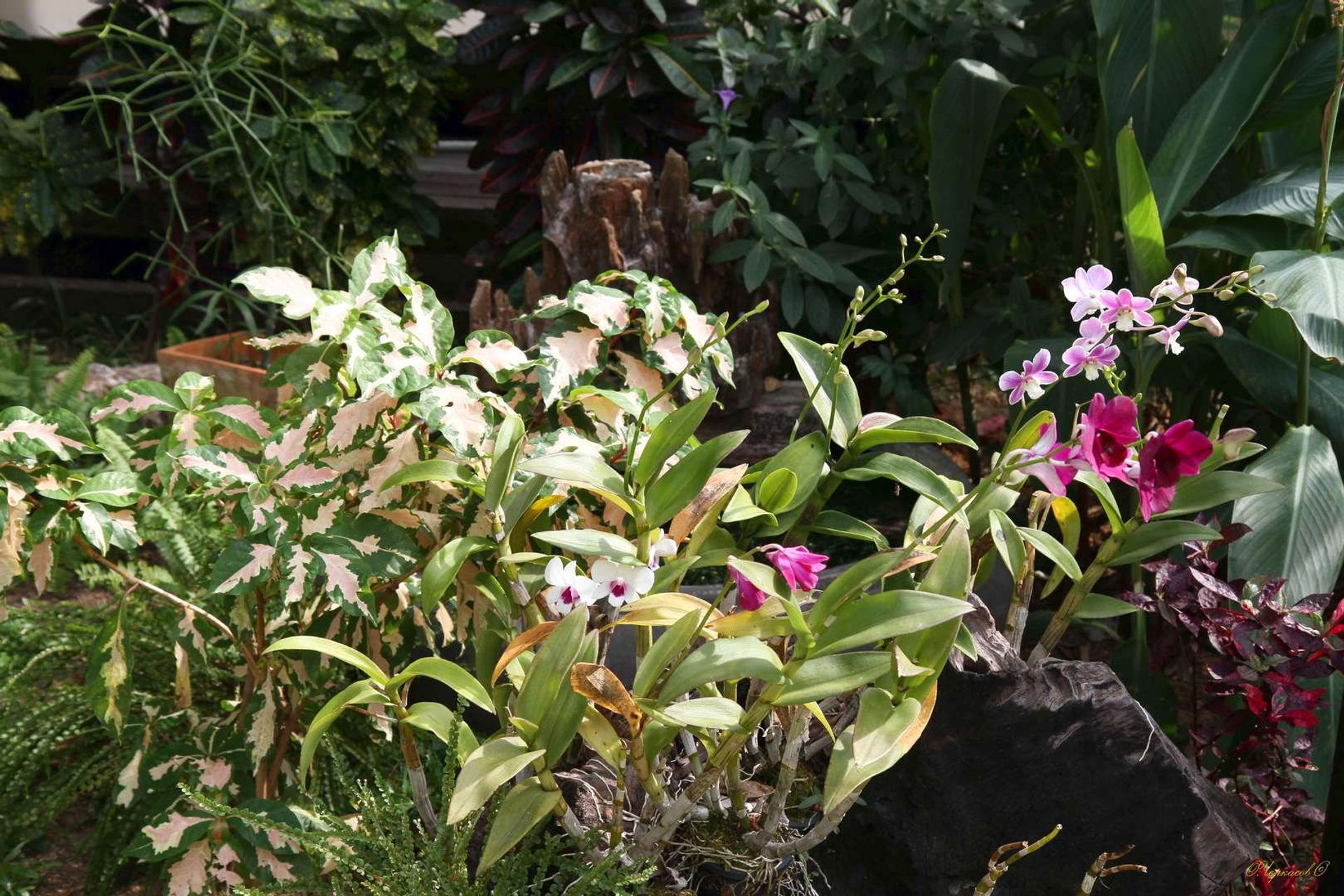 Тайланд 2011 г. Улица, люди, жизнь…