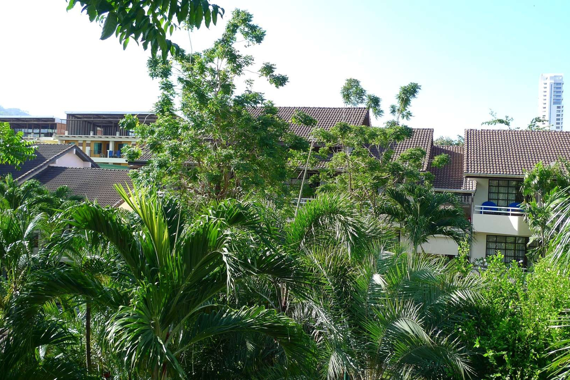 Тайланд 2011 г. Улица, люди, жизнь…