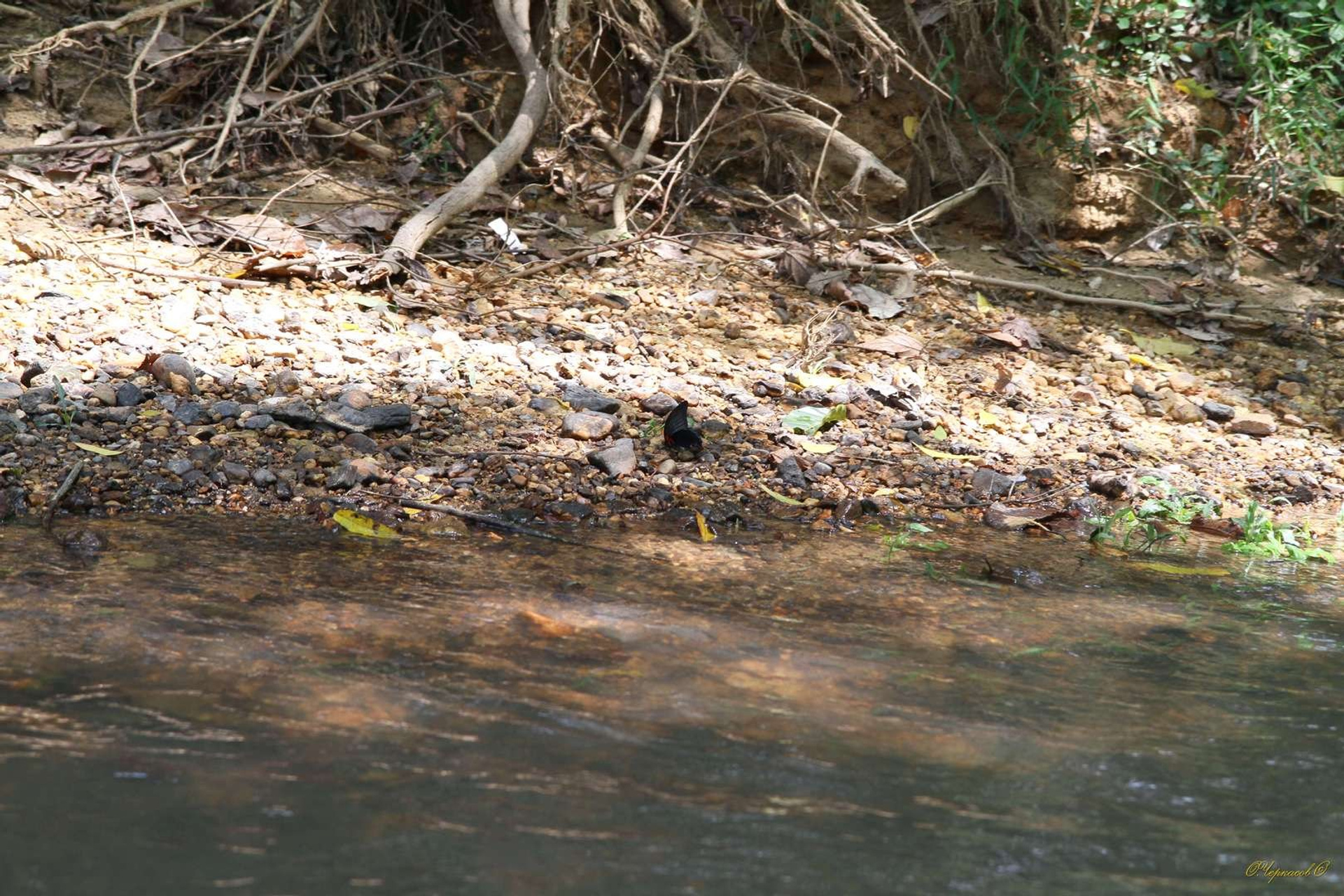 Тайланд 2011 г. Улица, люди, жизнь…