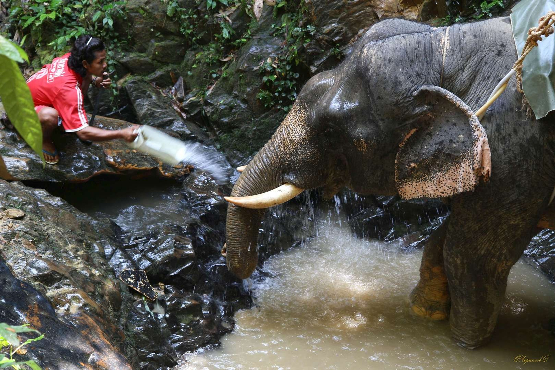 Тайланд 2011 г. Улица, люди, жизнь…