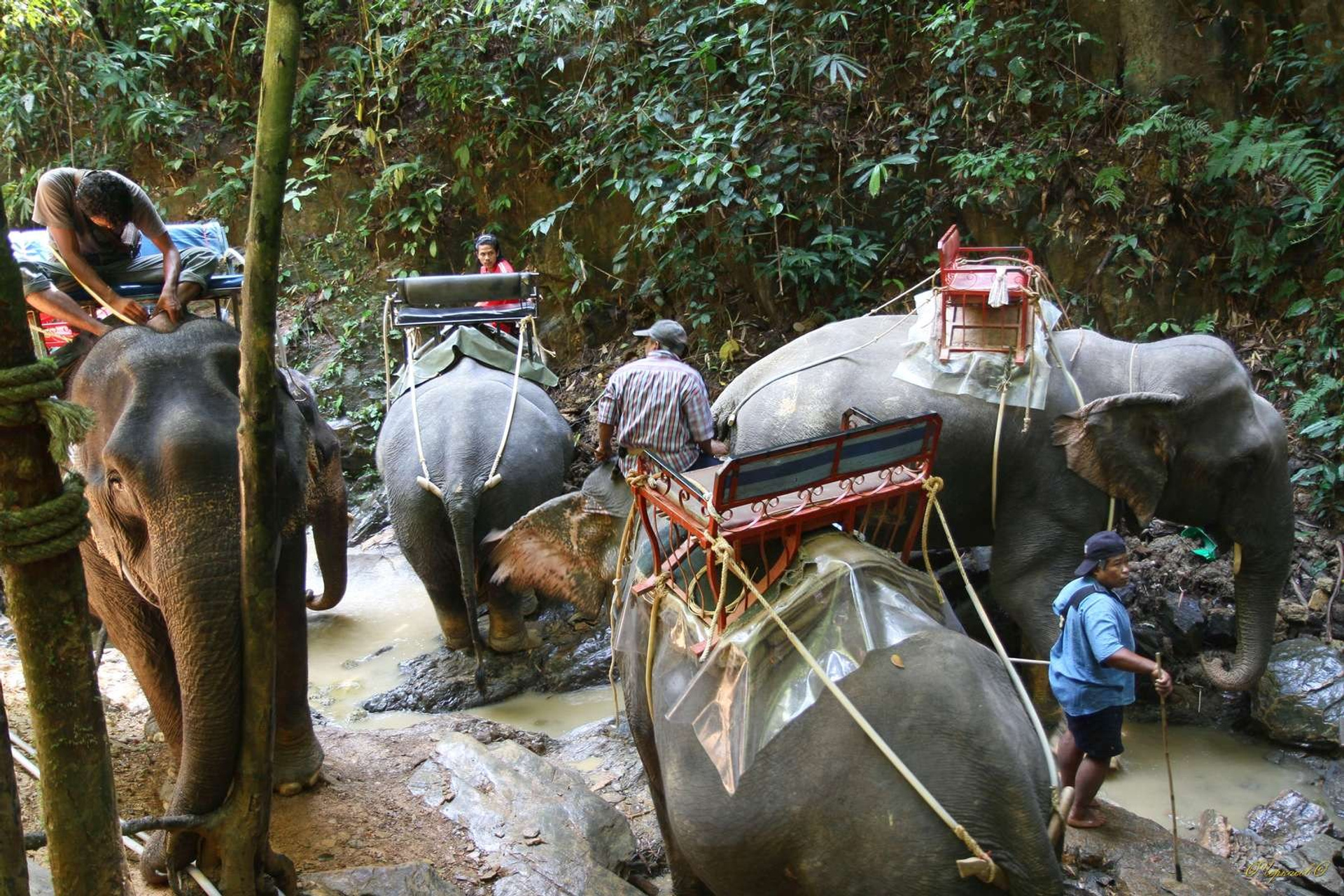 Тайланд 2011 г. Улица, люди, жизнь…