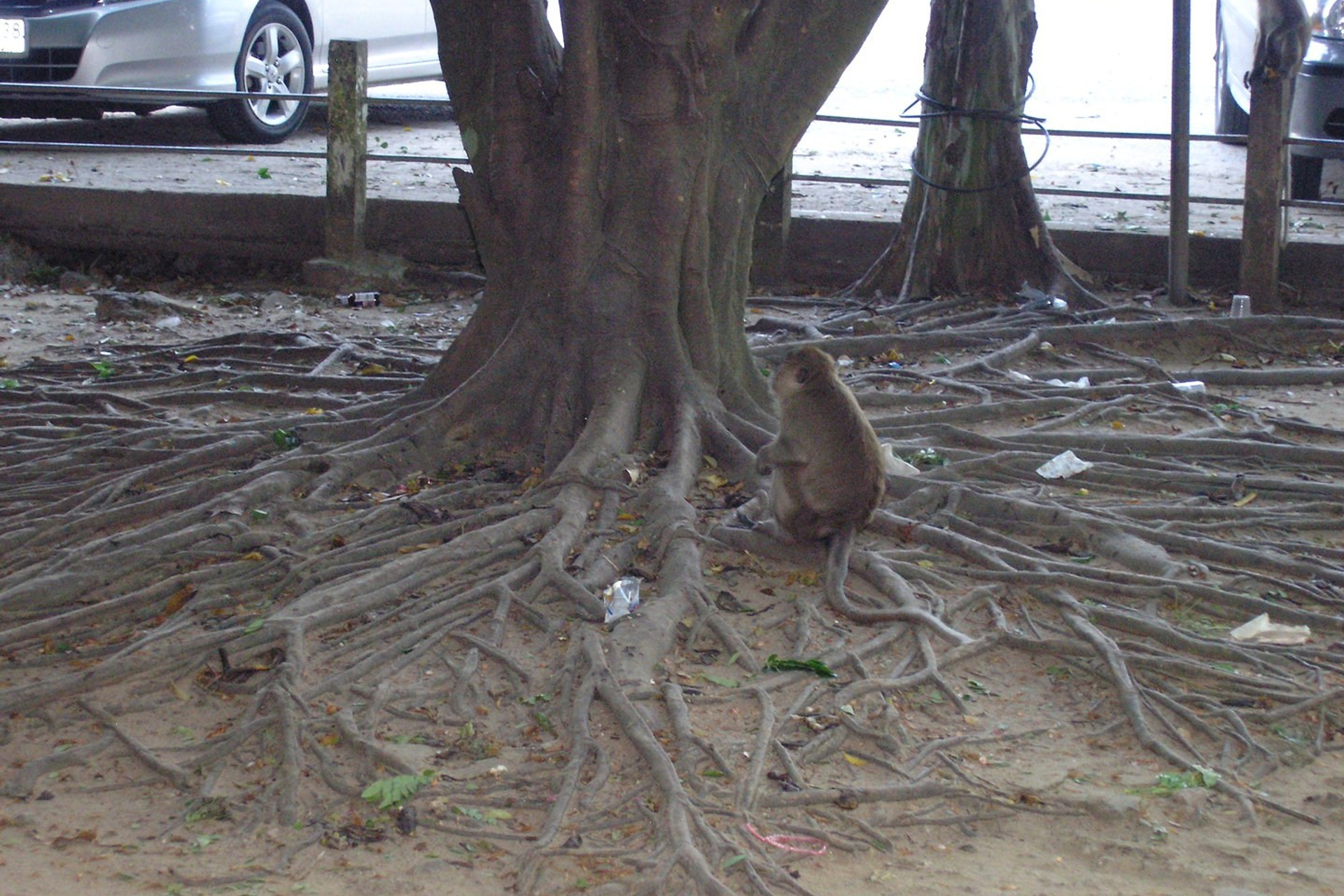 Тайланд 2011 г. Улица, люди, жизнь…