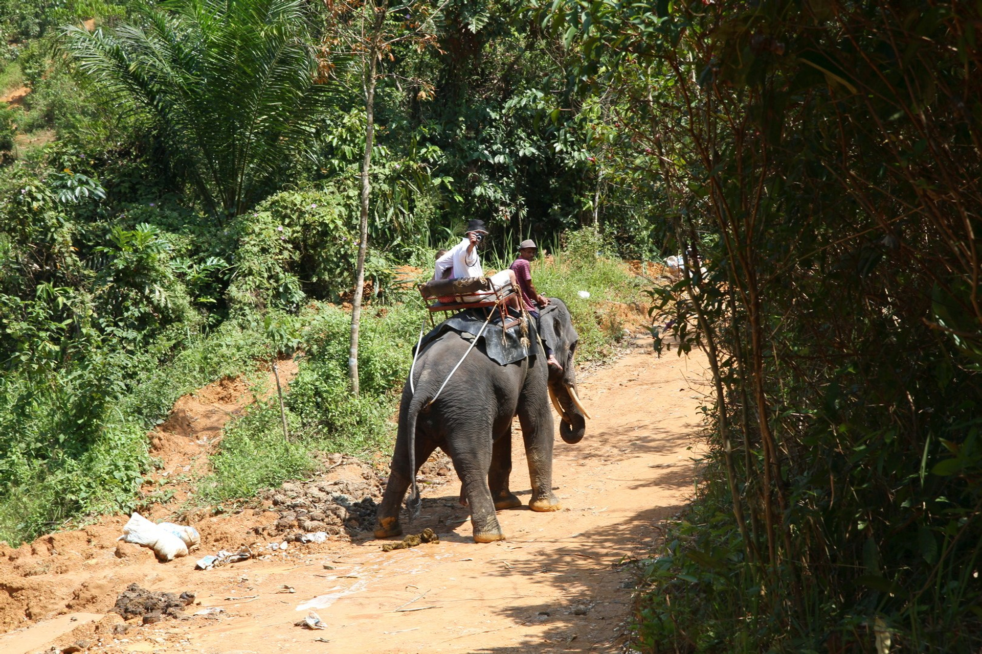 Тайланд 2011 г. Улица, люди, жизнь…