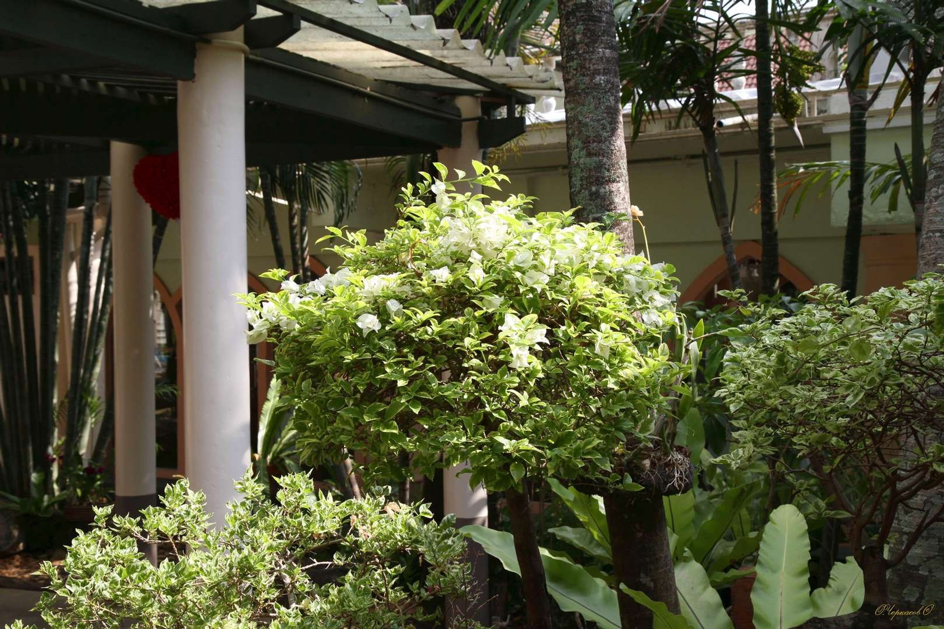 Тайланд 2011 г. Улица, люди, жизнь…