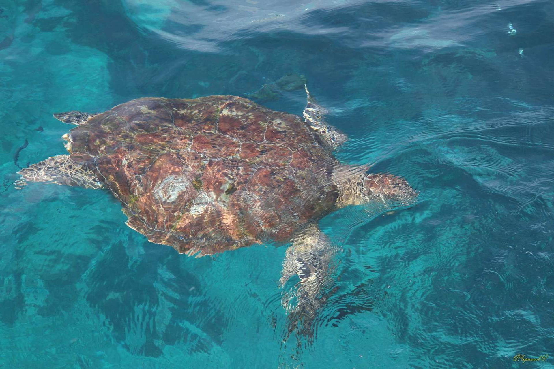 Тайланд 2011 г. Улица, люди, жизнь…