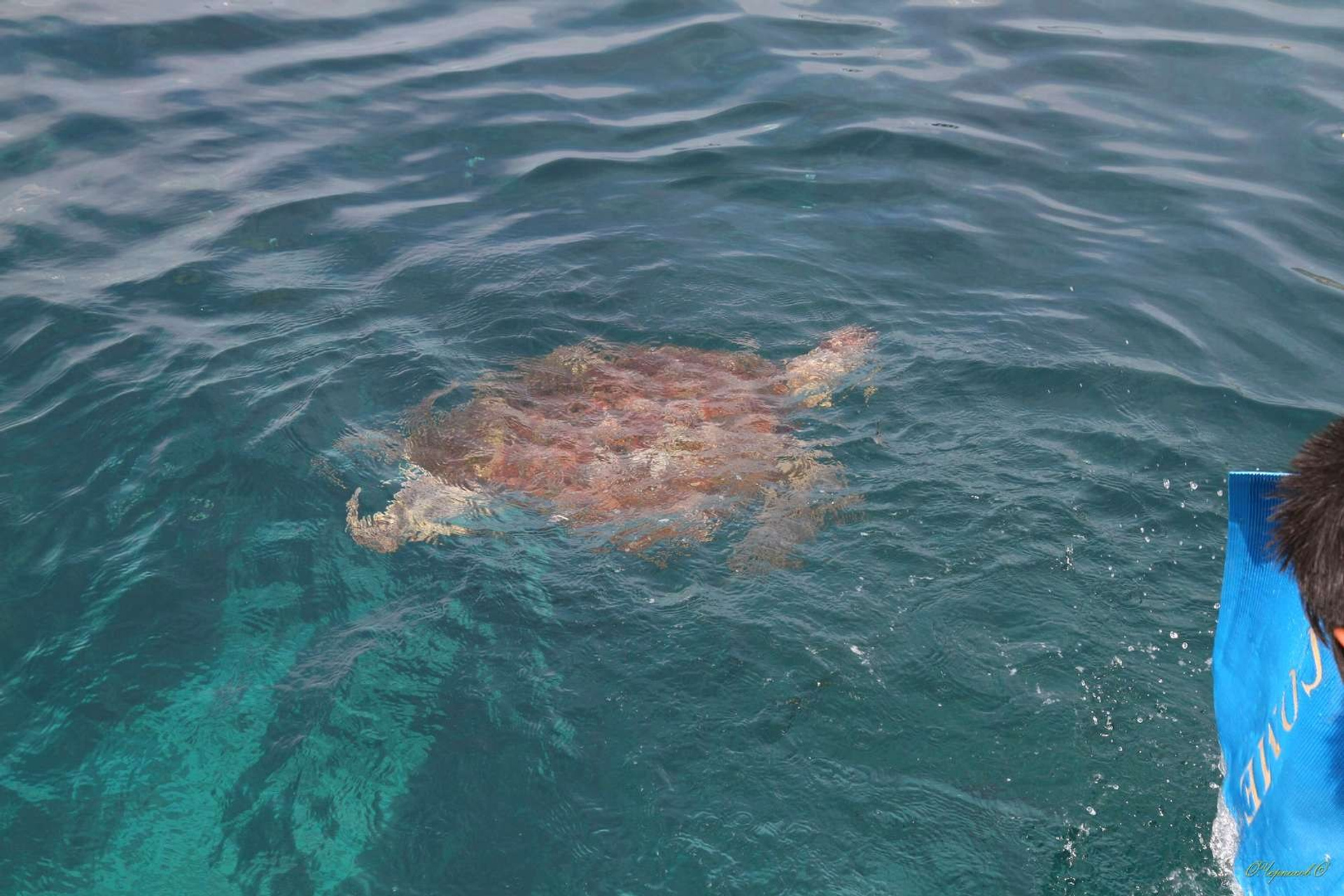 Тайланд 2011 г. Улица, люди, жизнь…