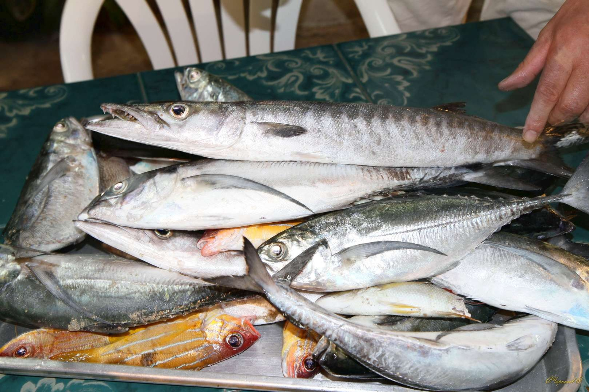 Тайланд 2011 г. Улица, люди, жизнь…