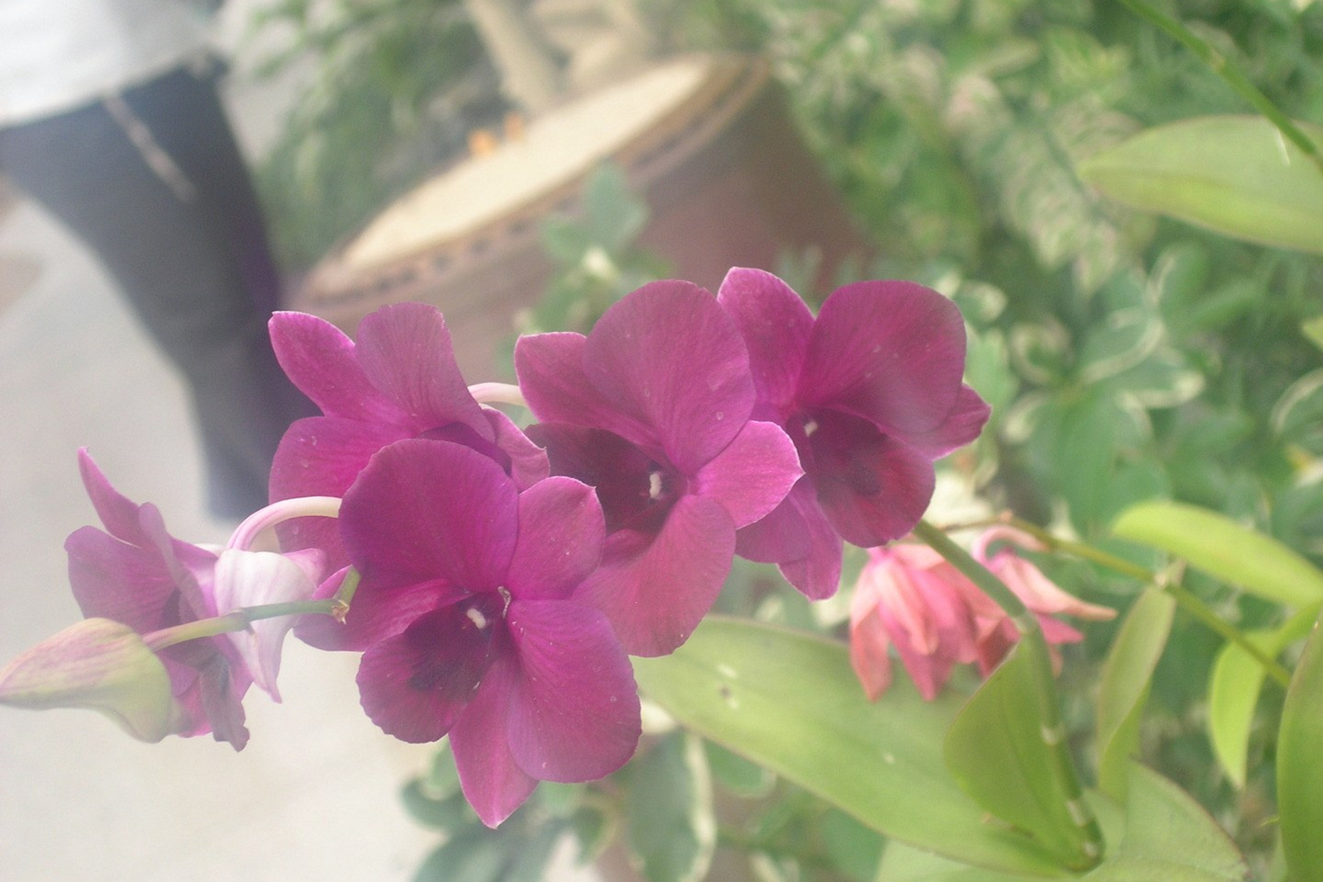 Тайланд 2011 г. Улица, люди, жизнь…