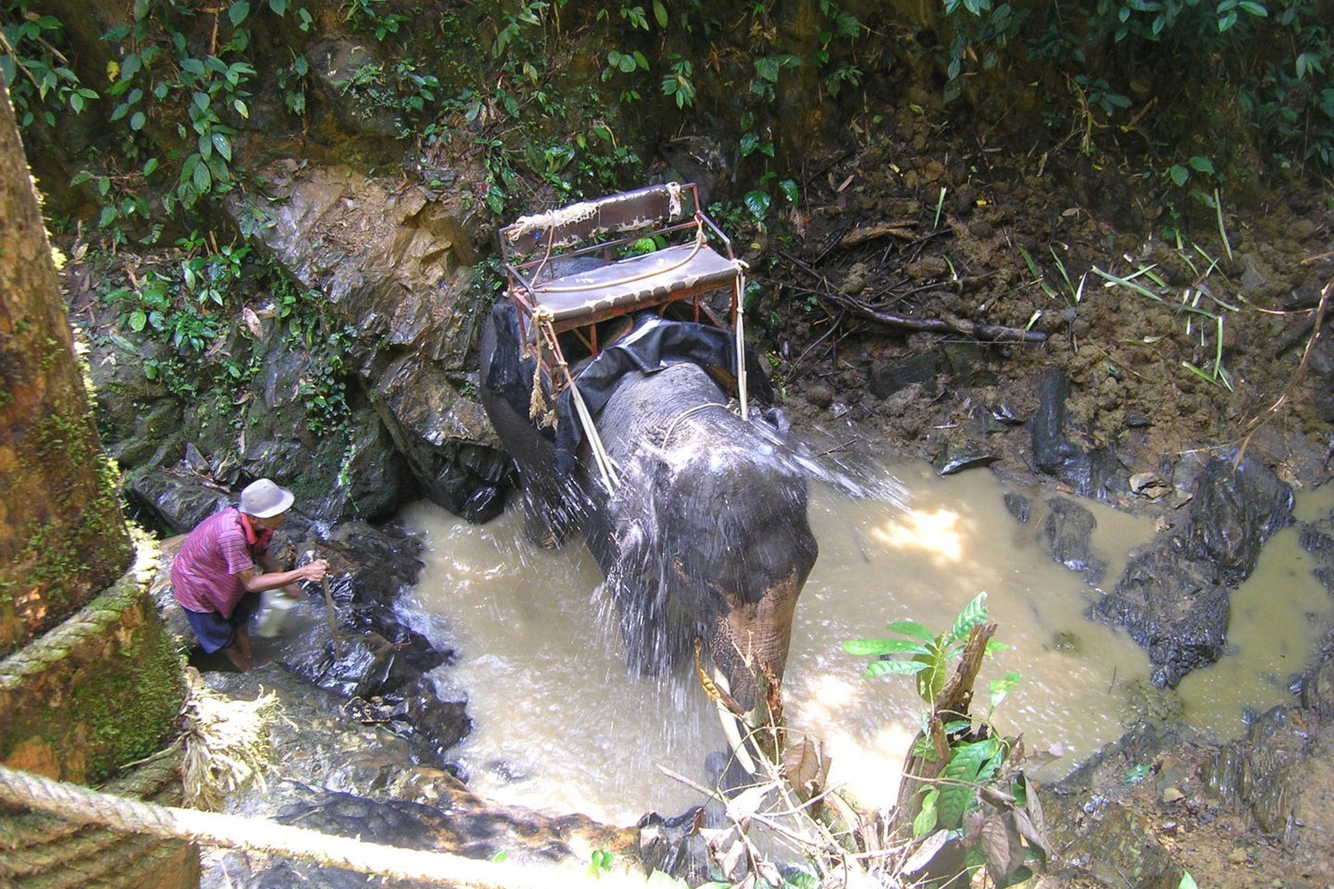 Тайланд 2011 г. Улица, люди, жизнь…