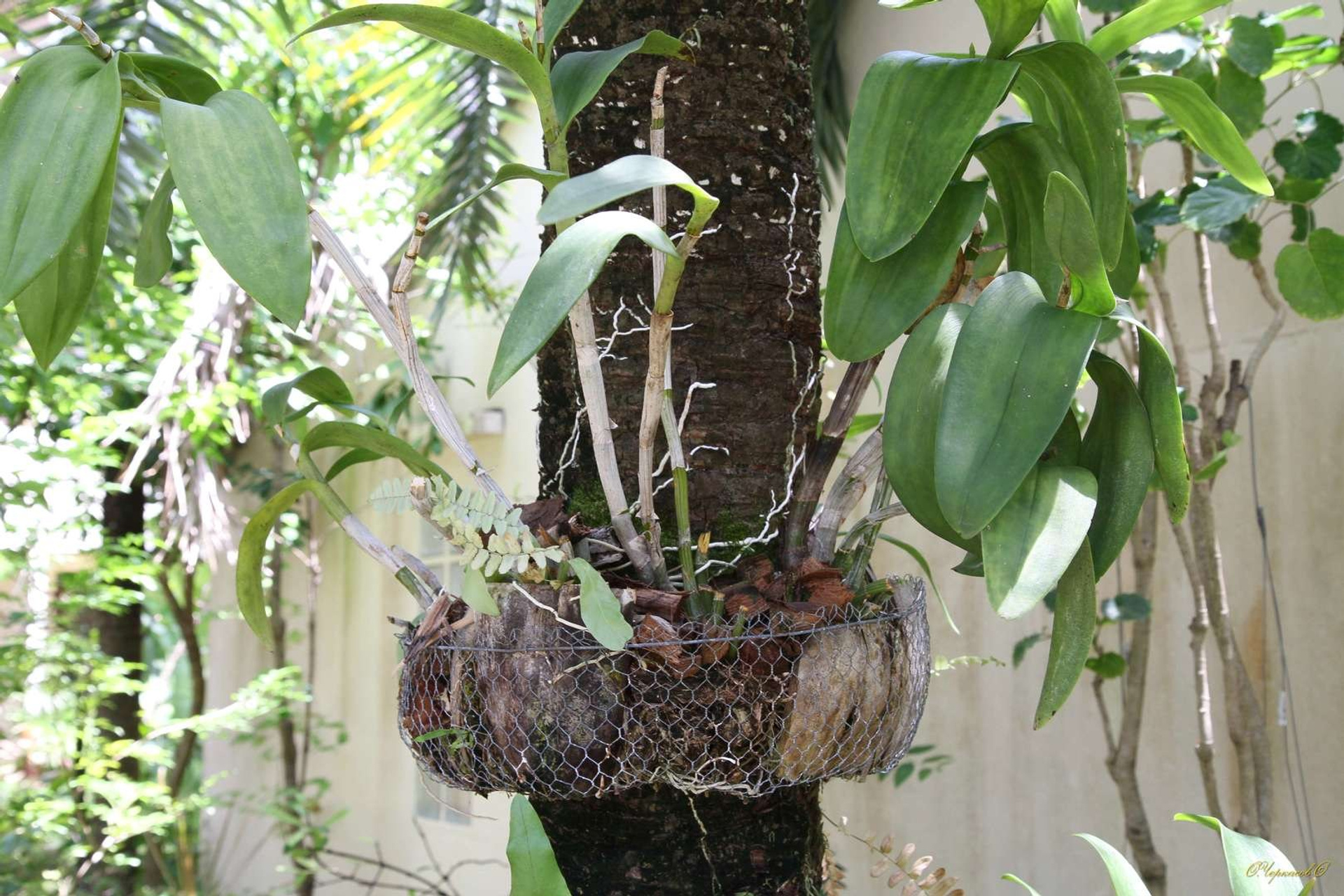 Тайланд 2011 г. Улица, люди, жизнь…