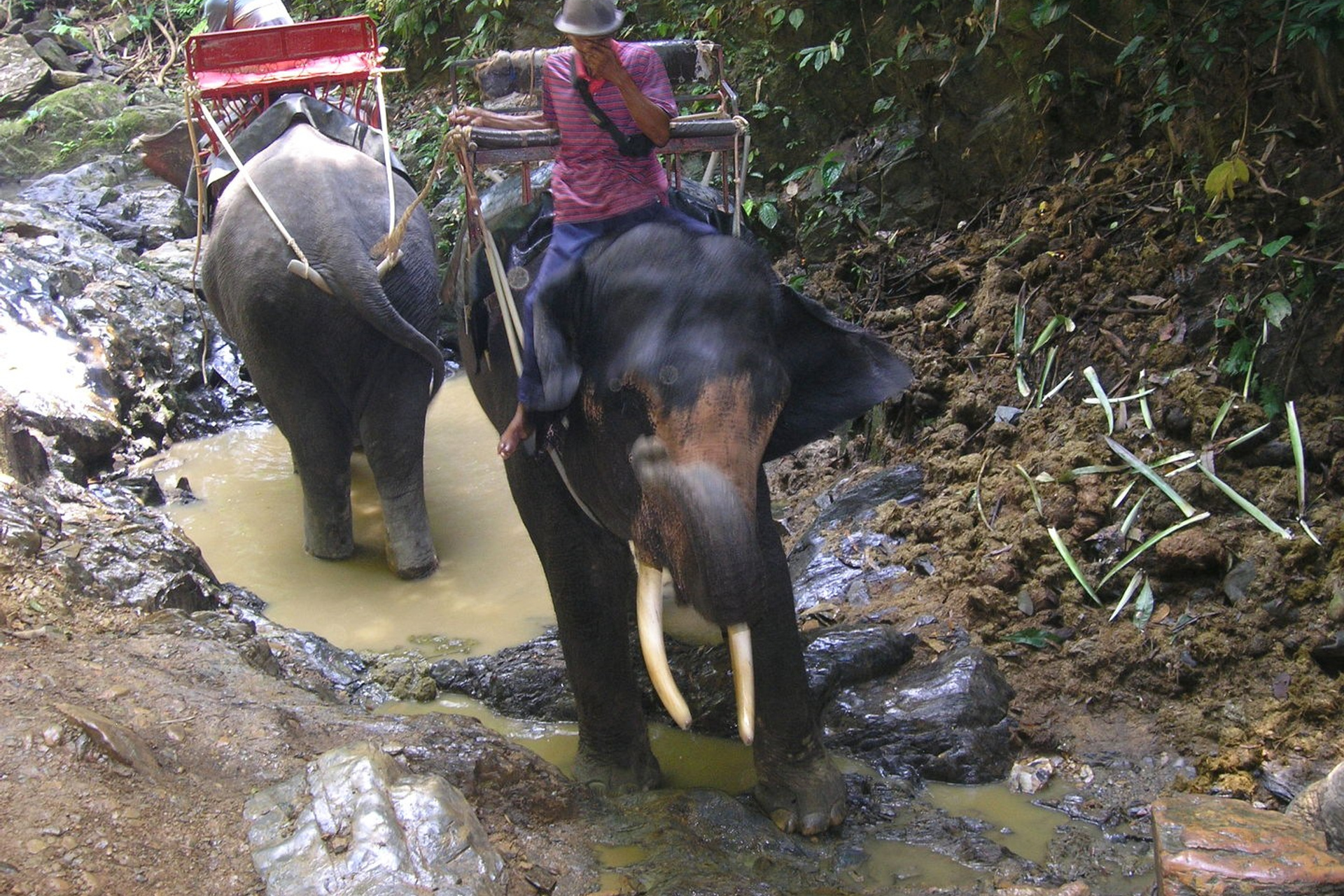 Тайланд 2011 г. Улица, люди, жизнь…