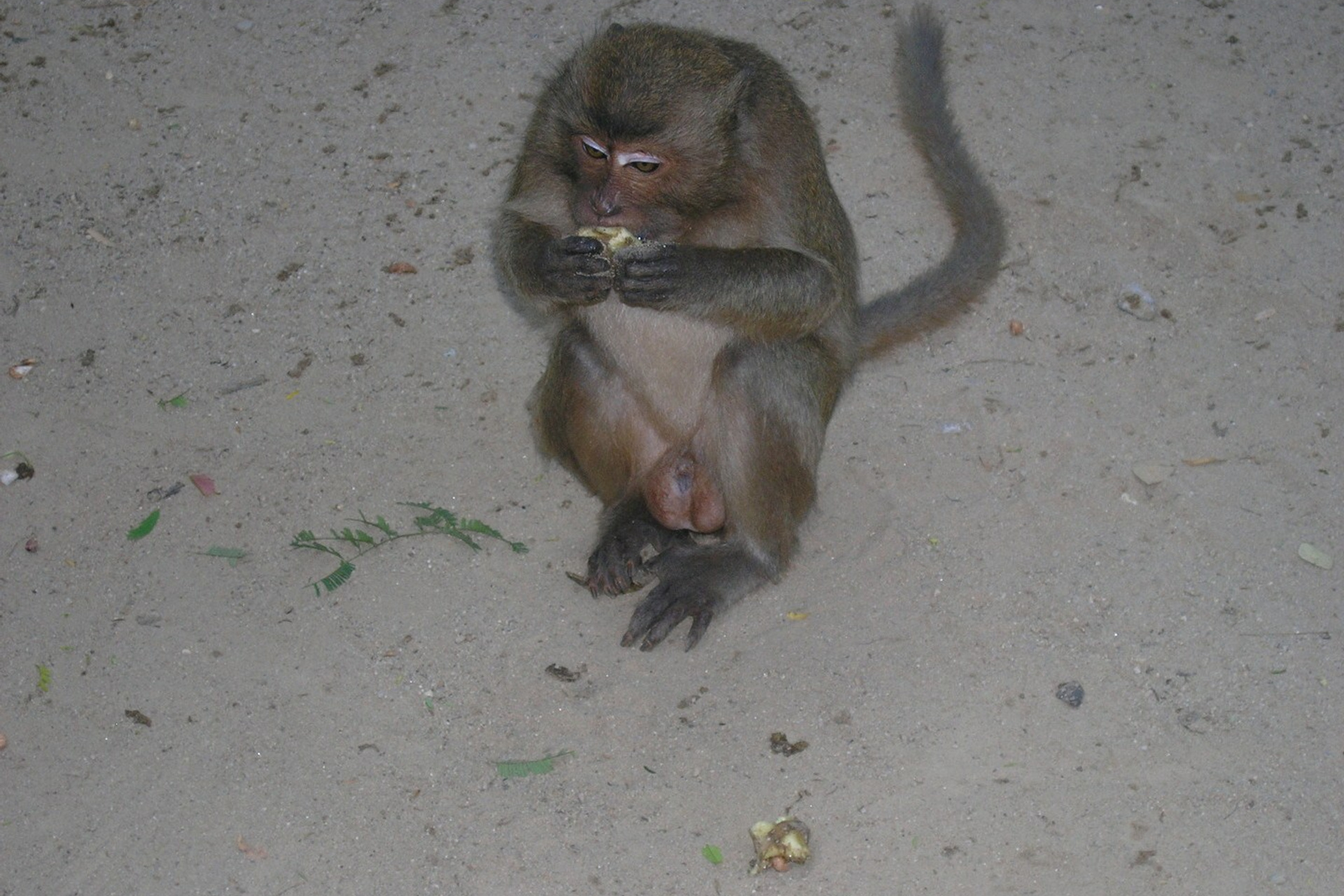 Тайланд 2011 г. Улица, люди, жизнь…