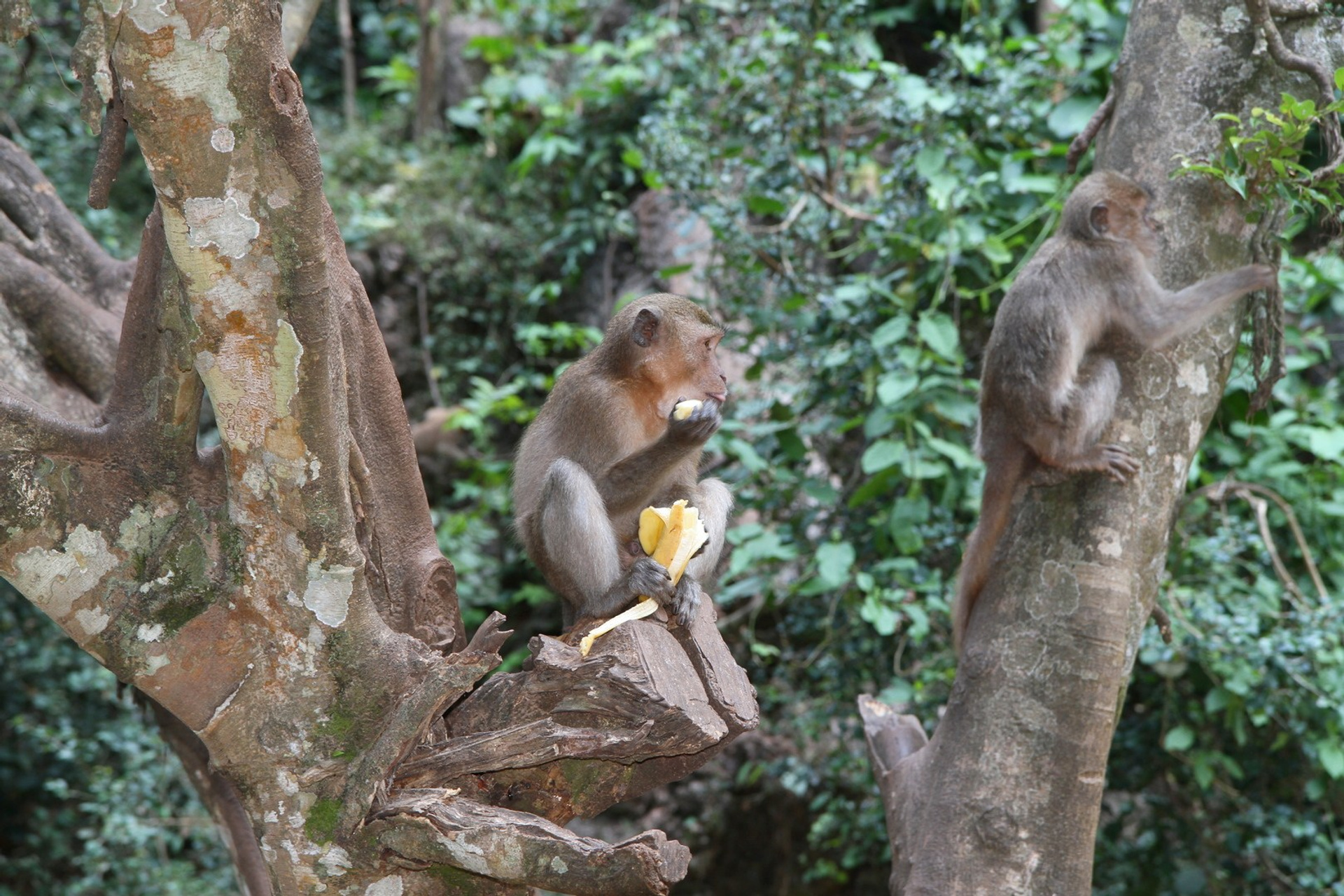 Тайланд 2011 г. Улица, люди, жизнь…