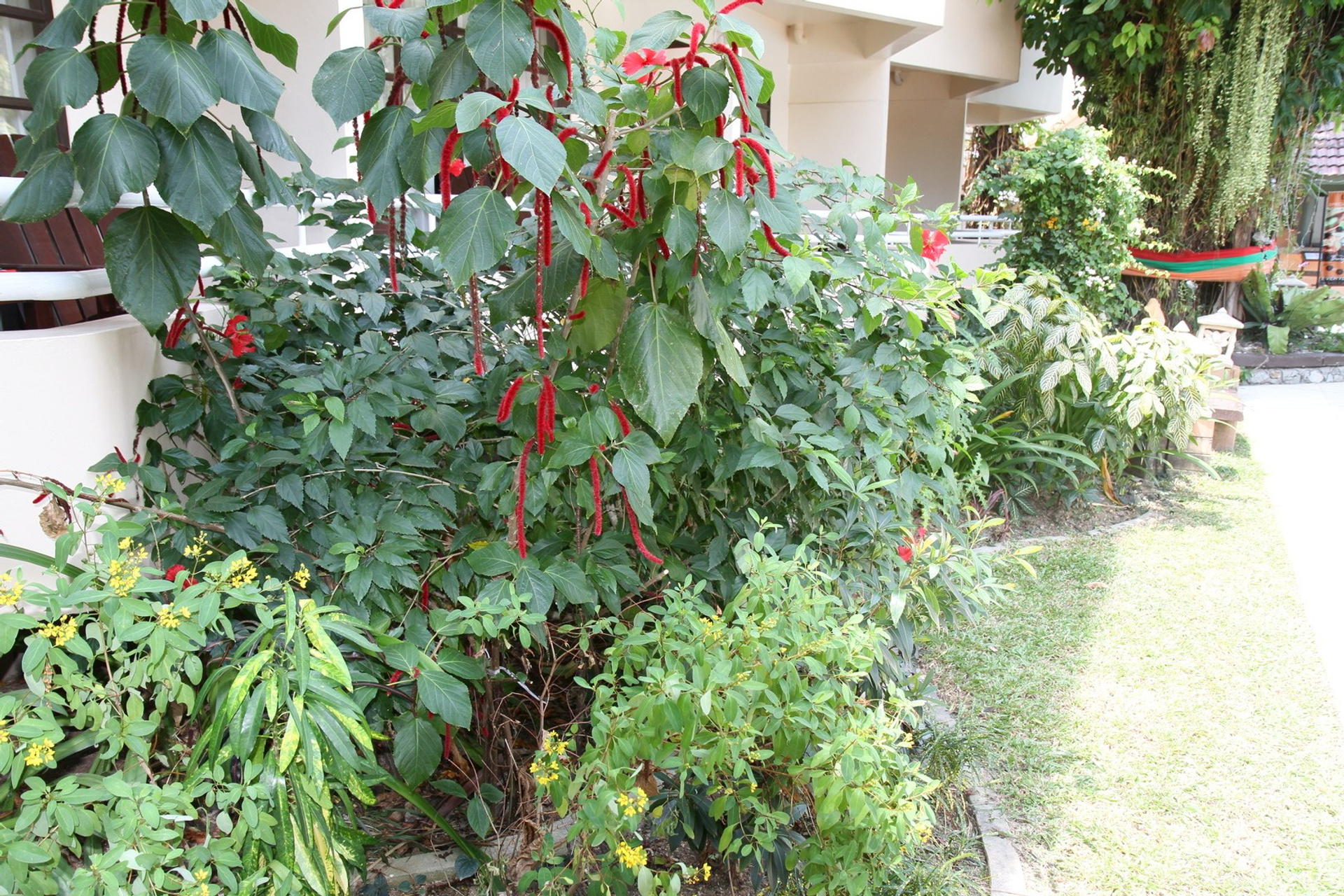 Тайланд 2011 г. Улица, люди, жизнь…