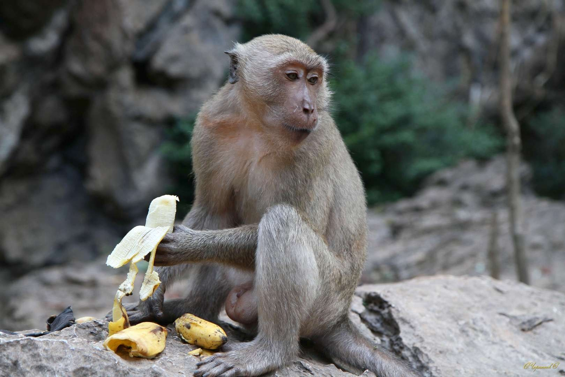 Тайланд 2011 г. Улица, люди, жизнь…