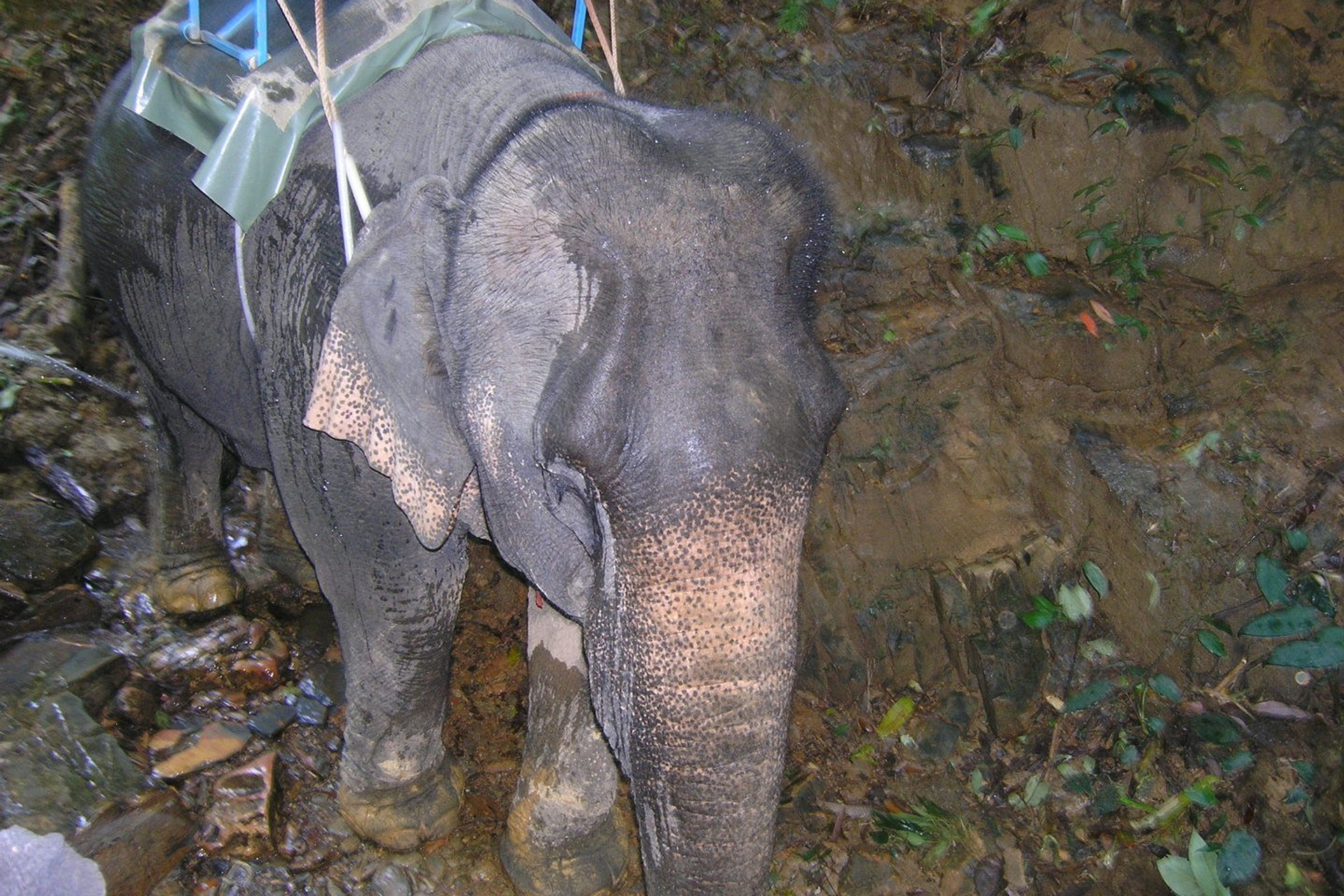 Тайланд 2011 г. Улица, люди, жизнь…