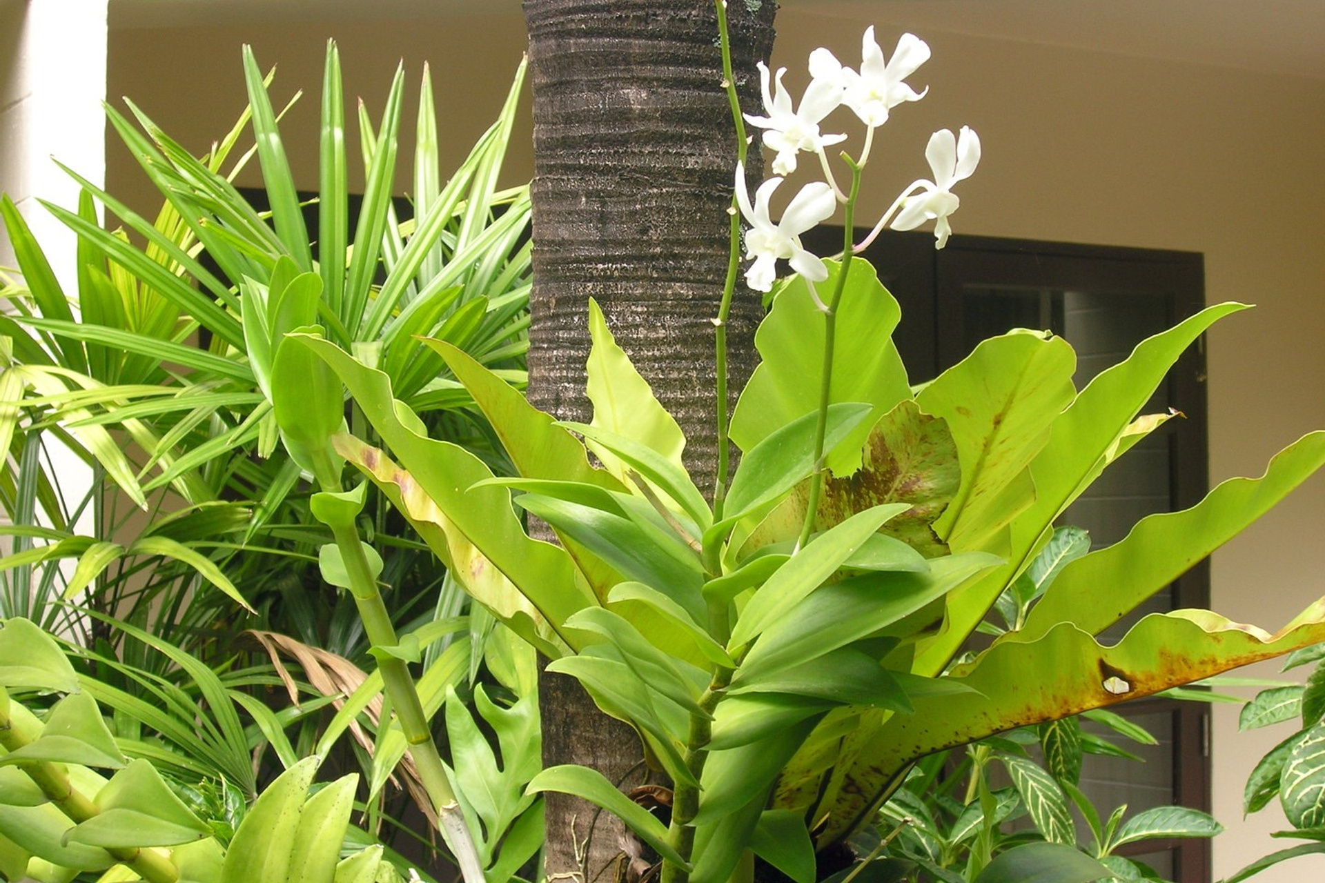 Тайланд 2011 г. Улица, люди, жизнь…