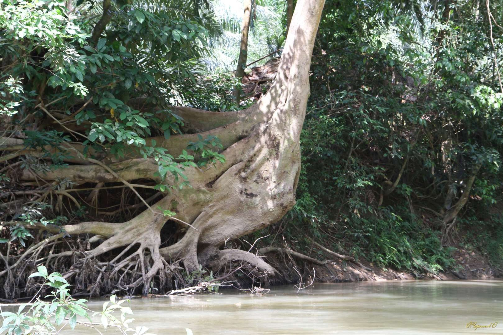 Тайланд 2011 г. Улица, люди, жизнь…