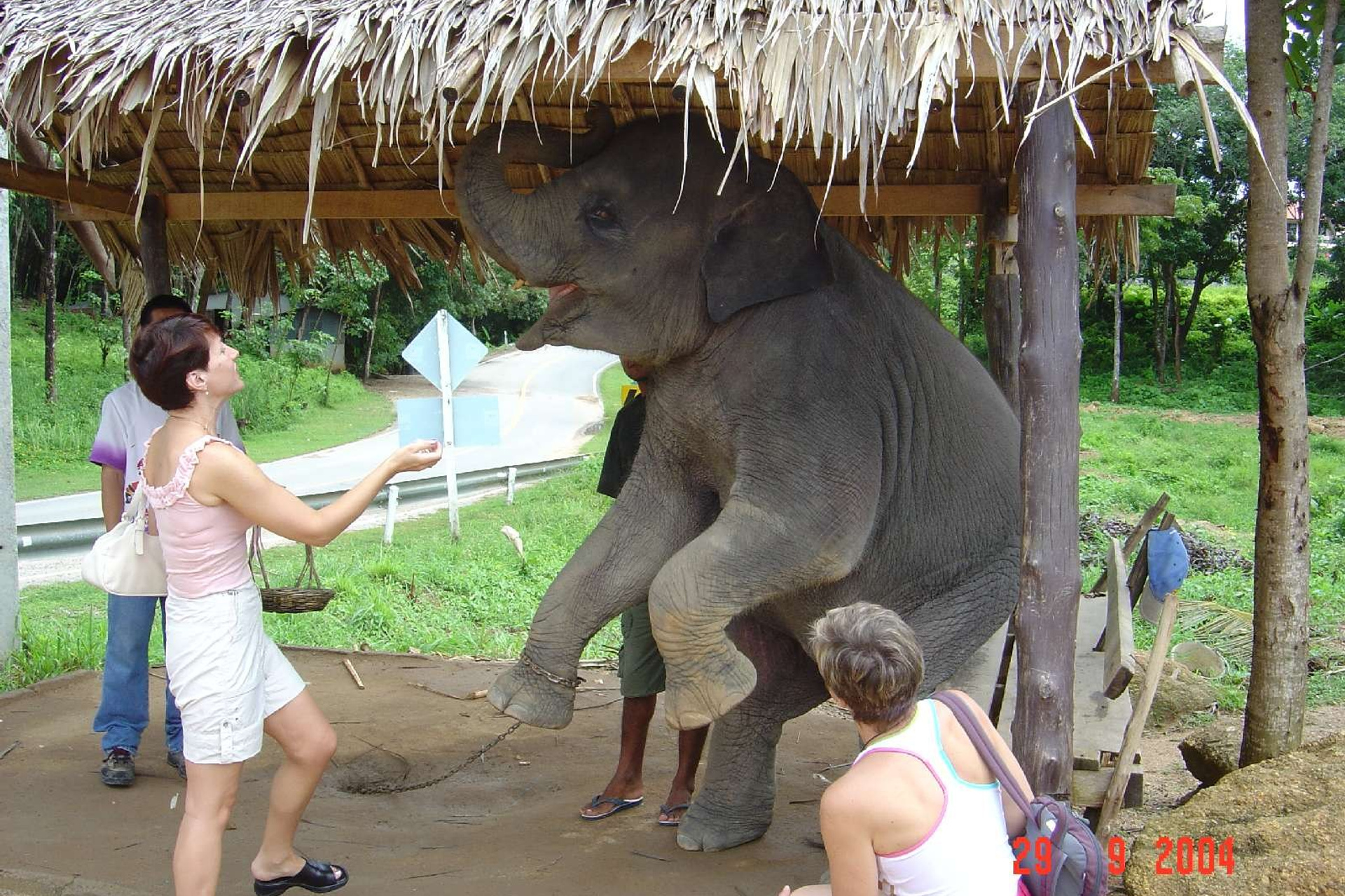 Фотоальбомы. Улица, люди, жизнь…