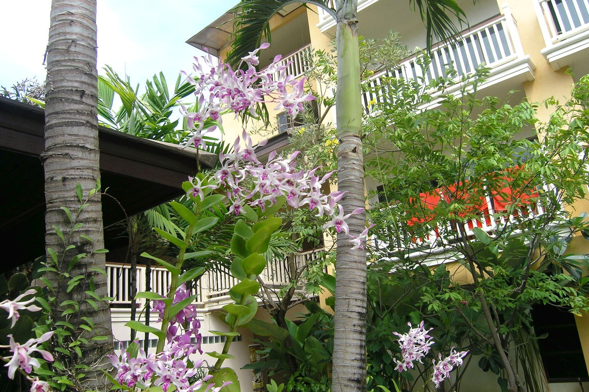 Тайланд 2011 г. Улица, люди, жизнь…