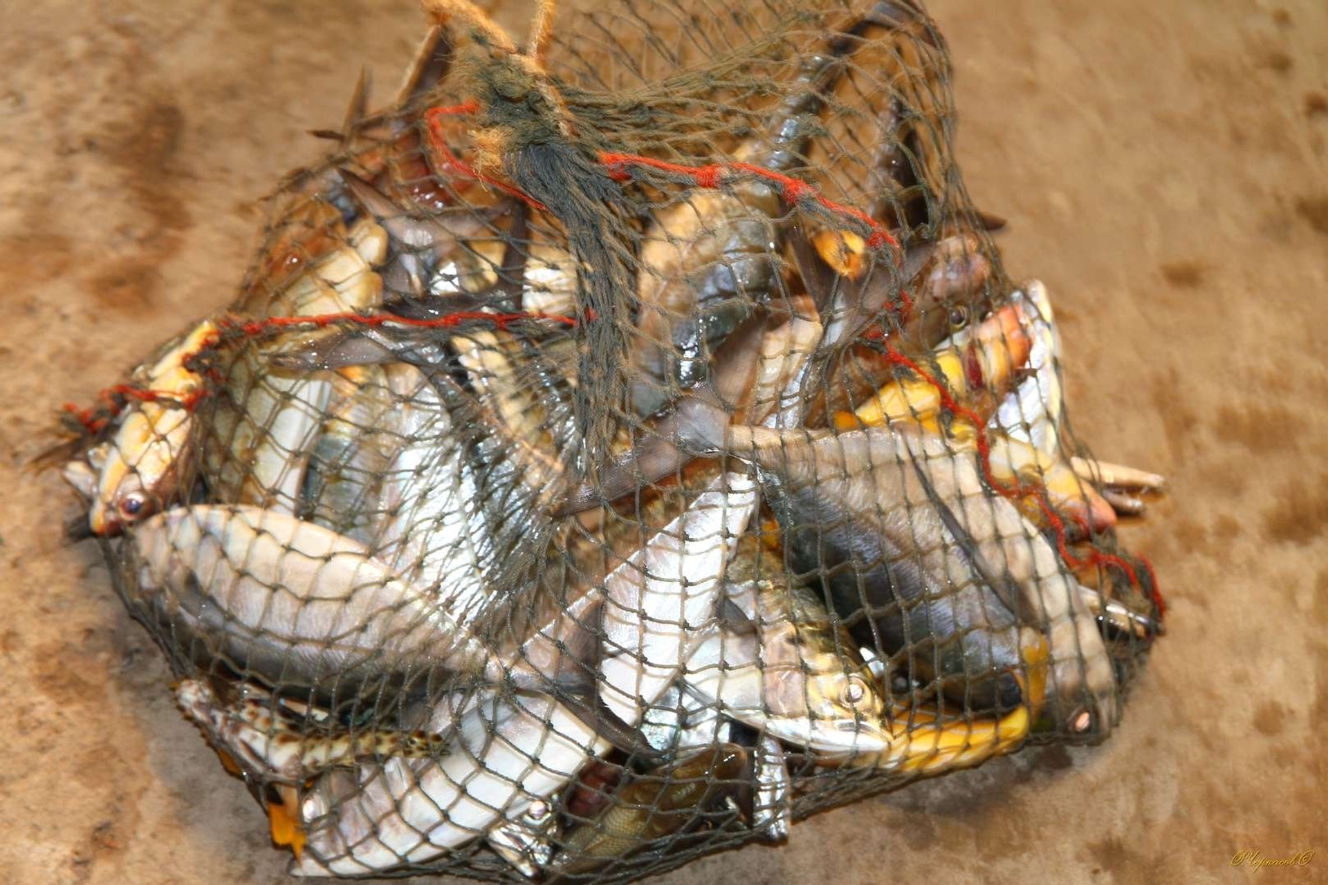 Тайланд 2011 г. Улица, люди, жизнь…