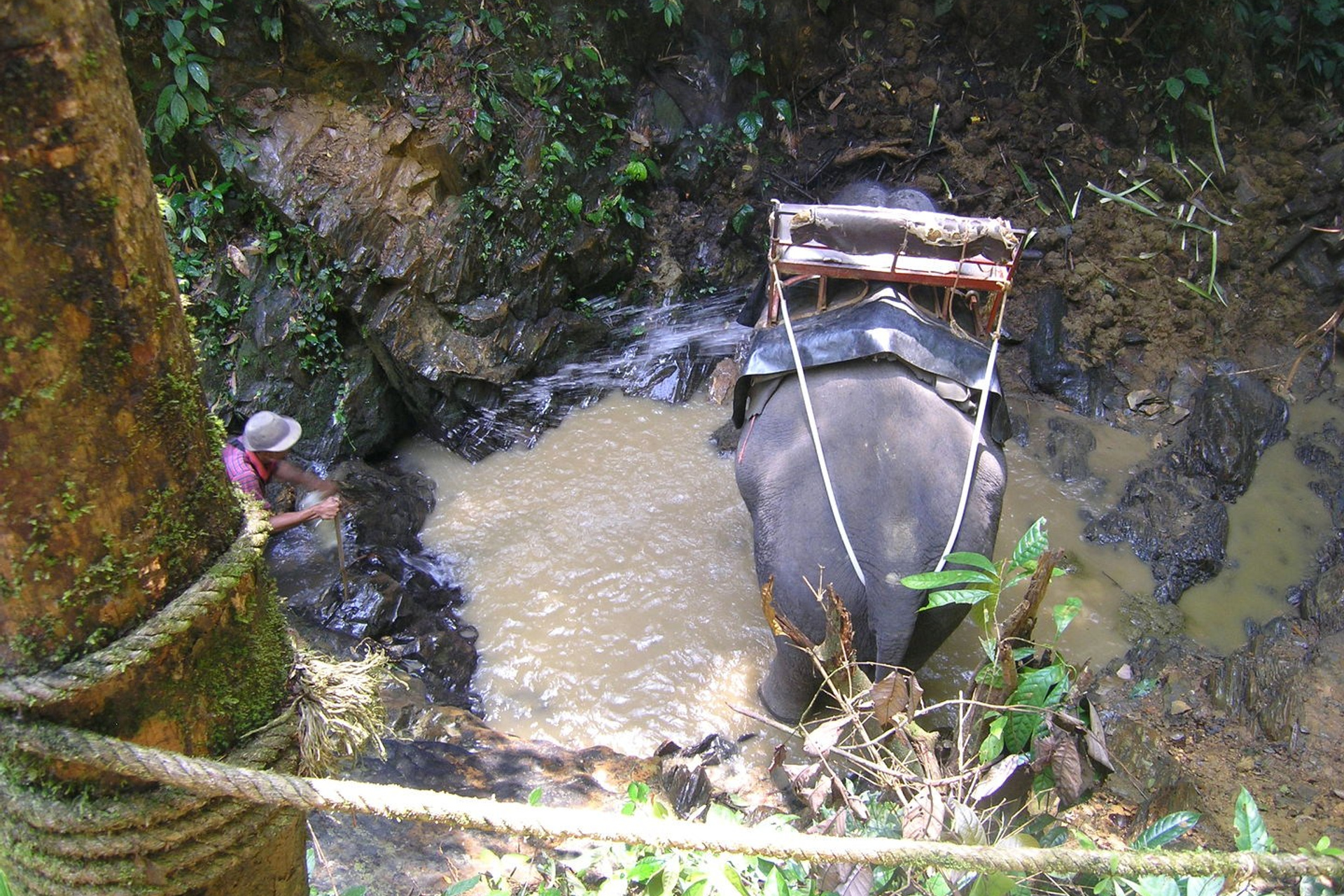 Тайланд 2011 г. Улица, люди, жизнь…