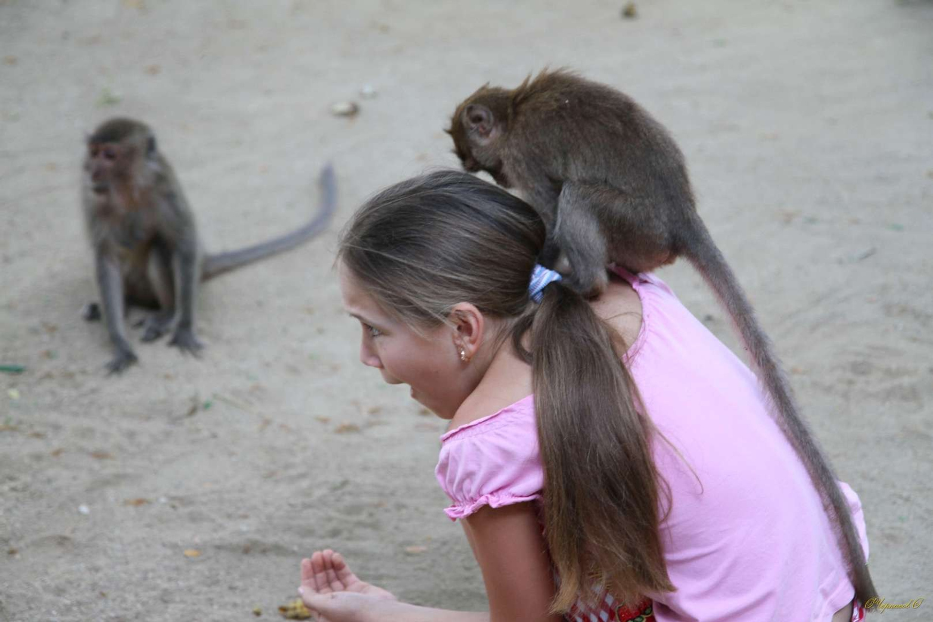 Тайланд 2011 г. Улица, люди, жизнь…
